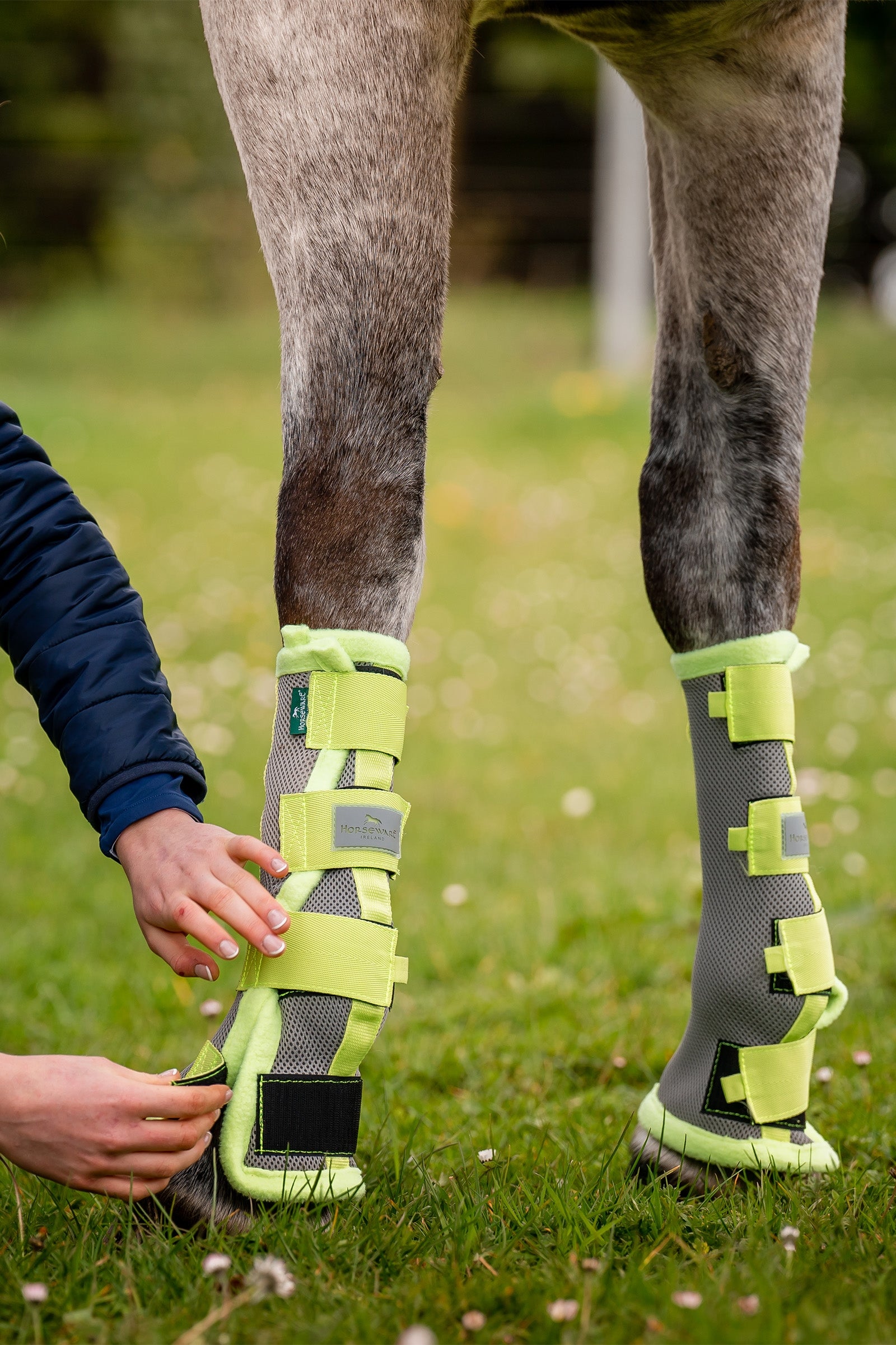 Horseware Fly Boots Antifly Protection for Horses