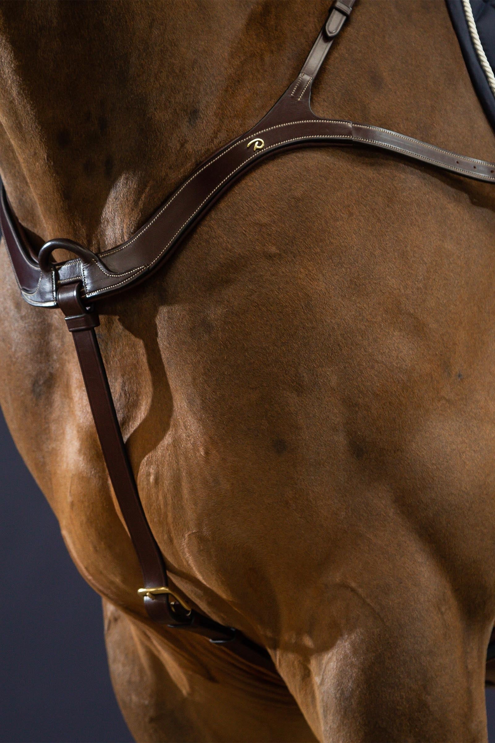 Dy'on D Collection Long Bridge Breastplate Bridles & Reins