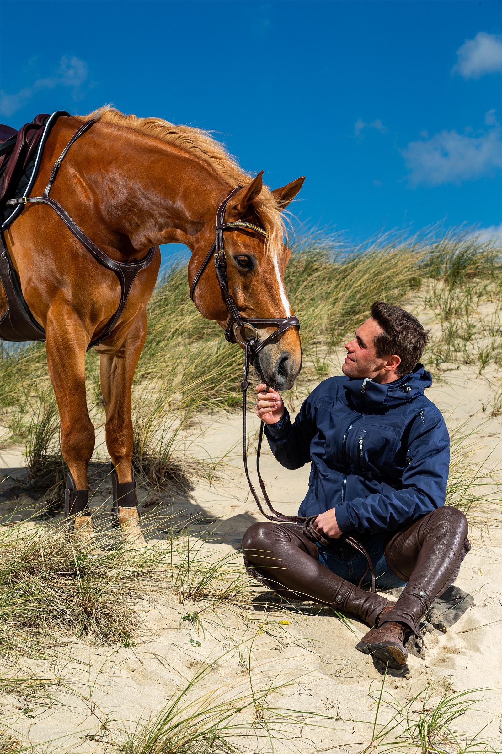 Dy'on D Collection Long Bridge Breastplate Bridles & Reins