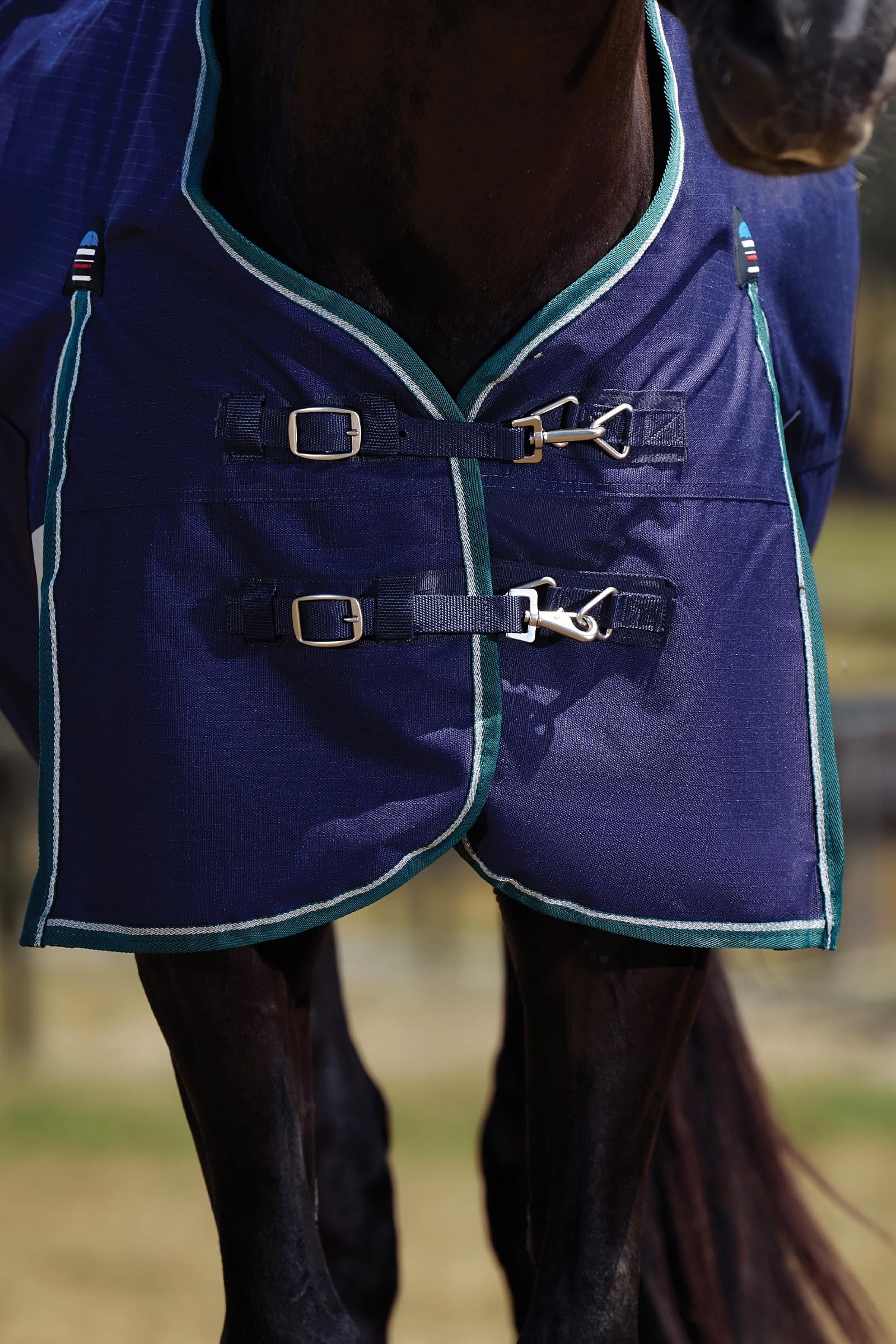 Weatherbeeta ComFiTecPlus Dynamic Turnout Rug, 0 g Horse Rugs