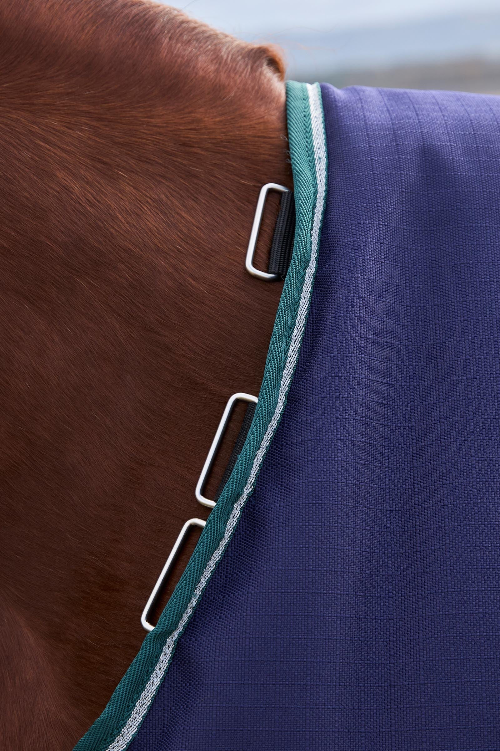 Weatherbeeta ComFiTecPlus Dynamic Turnout Rug, 0 g Horse Rugs