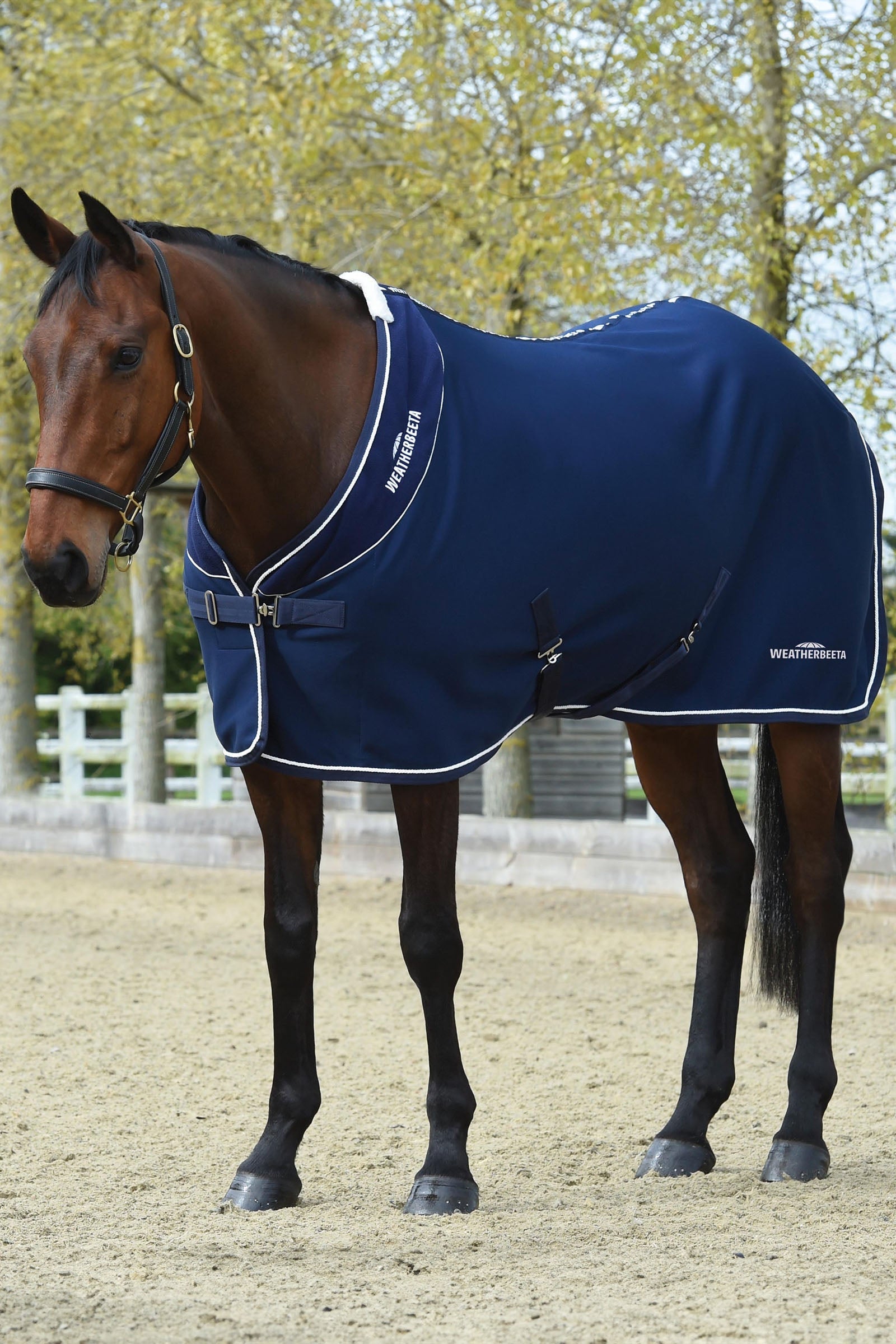 Weatherbeeta Opulence Turnierdecke Standardhalsausschnitt Pferdedecken