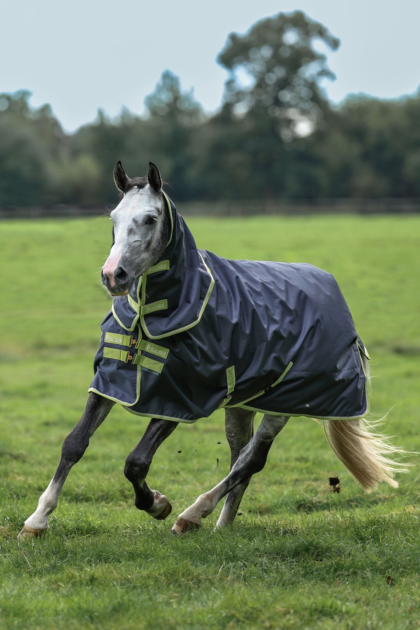 Bucas Oasis Turnout + Neck Set, 100g Horse Rugs