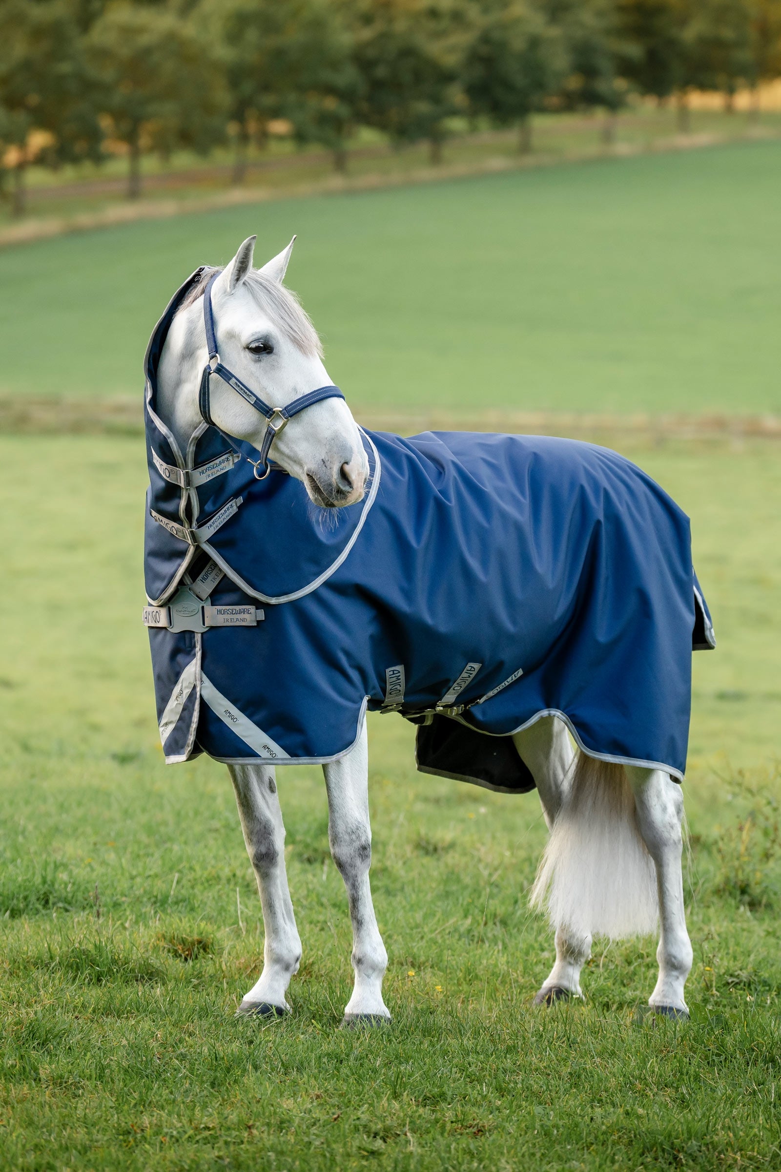 Horseware Amigo 1200D FieldSafe Plus Outdoordecke, 100 g Pferdedecken