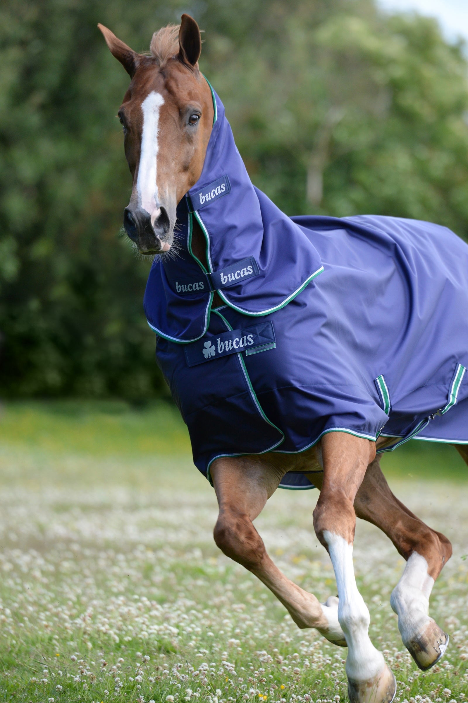 Bucas Smartex Rain Turnout Rug, 0g Horse Rugs