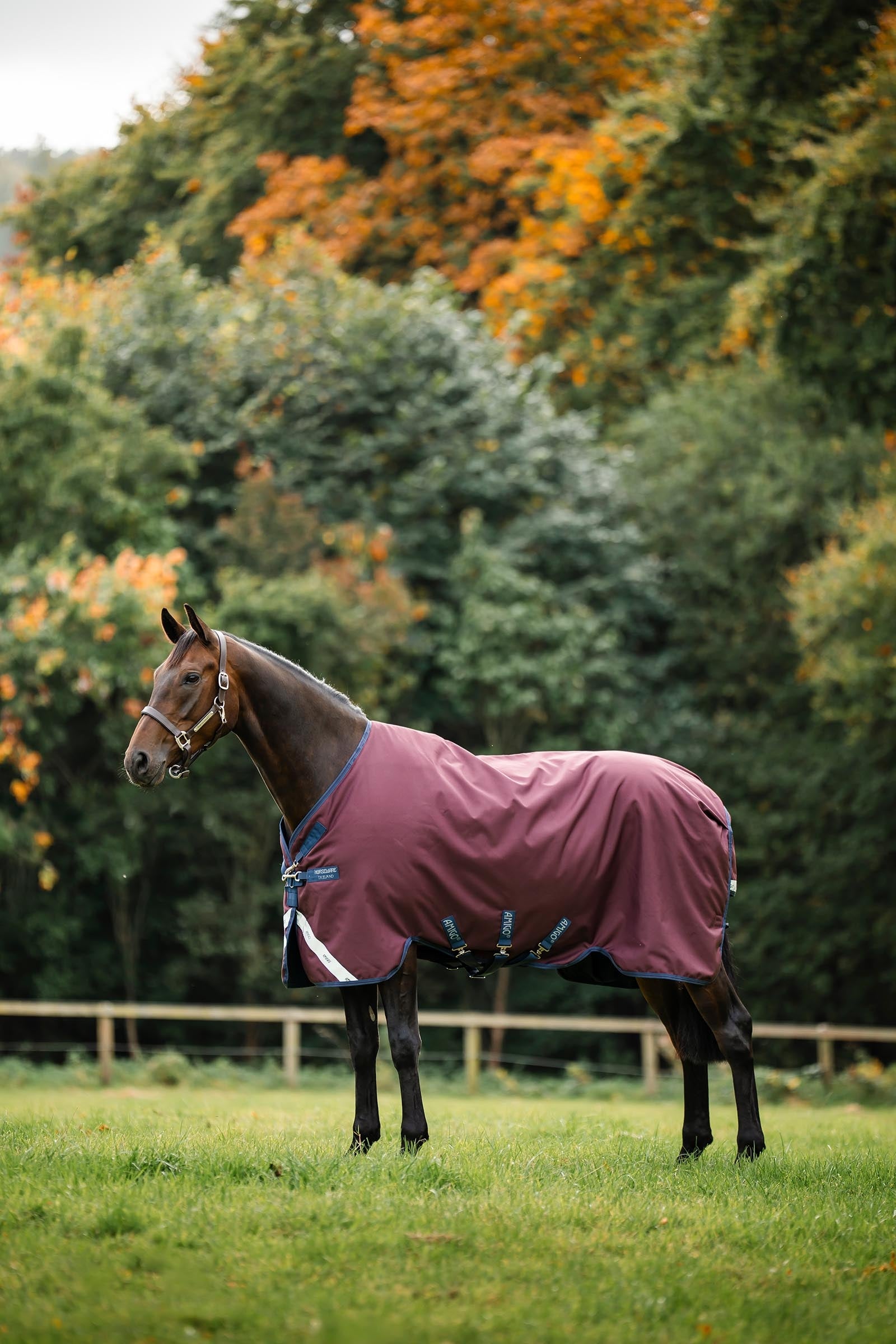 Horseware Amigo 1200D Turnout Rug, 100 g Horse Rugs