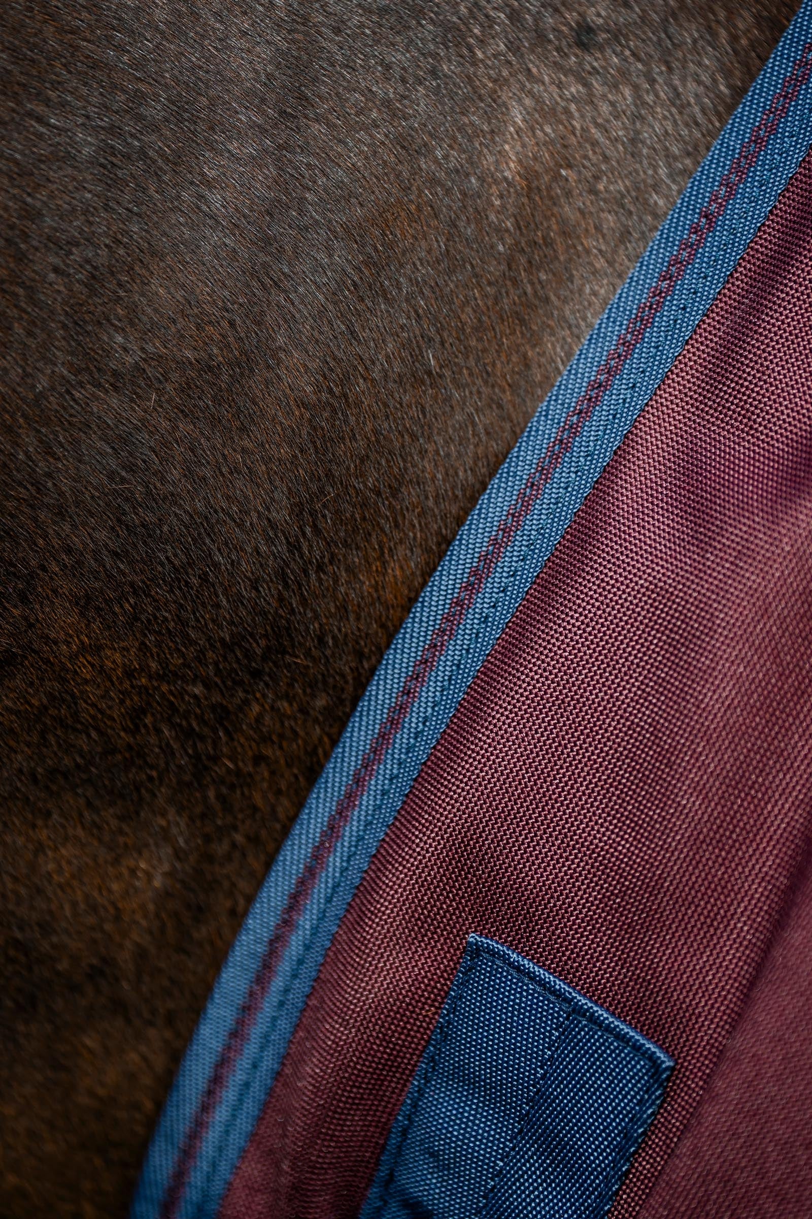 Horseware Amigo 1200D Turnout Rug, 100 g Horse Rugs