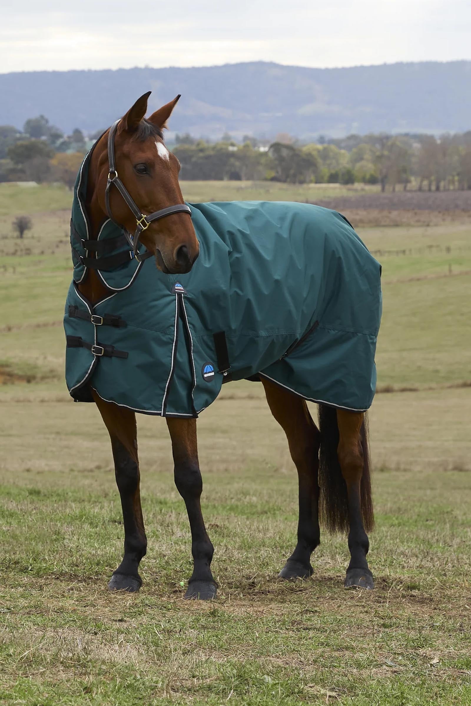 Weatherbeeta Comfitec Classic Turnout Rug Combo 50g Horse Rugs