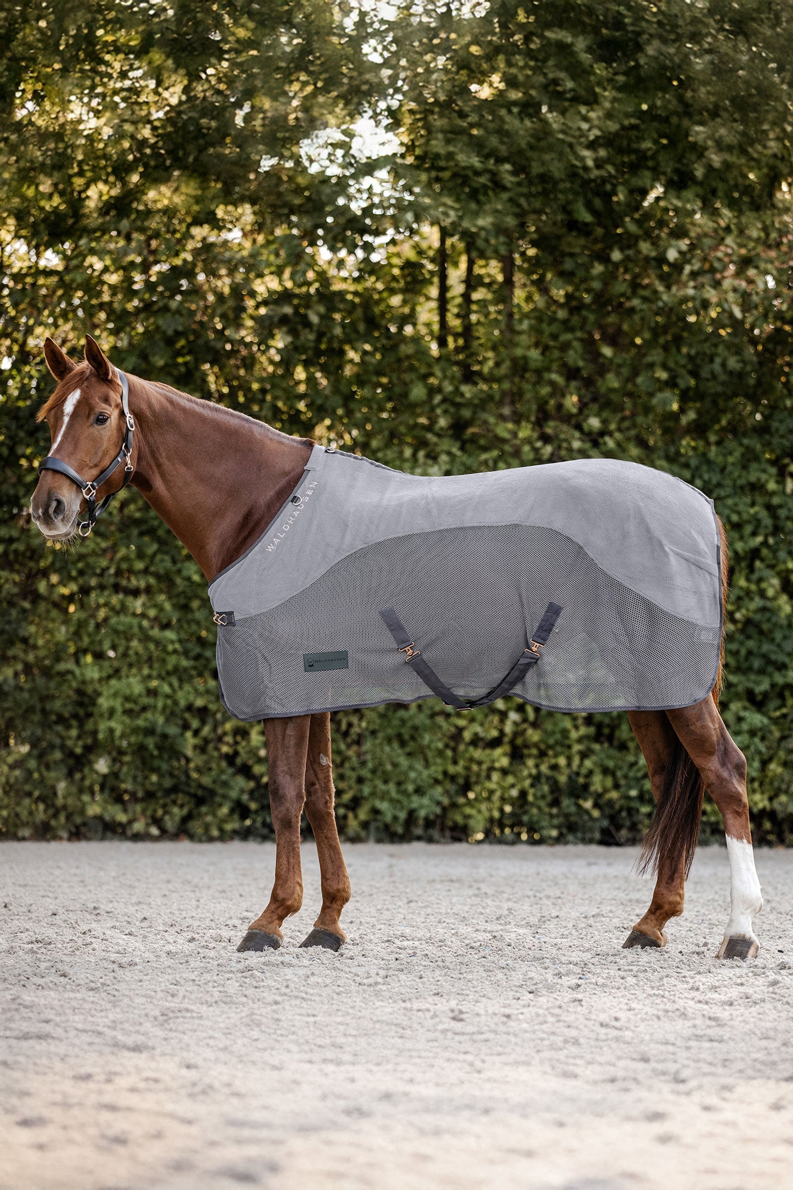 Waldhausen Comfort Fleece Fliegendecke Pferdedecken