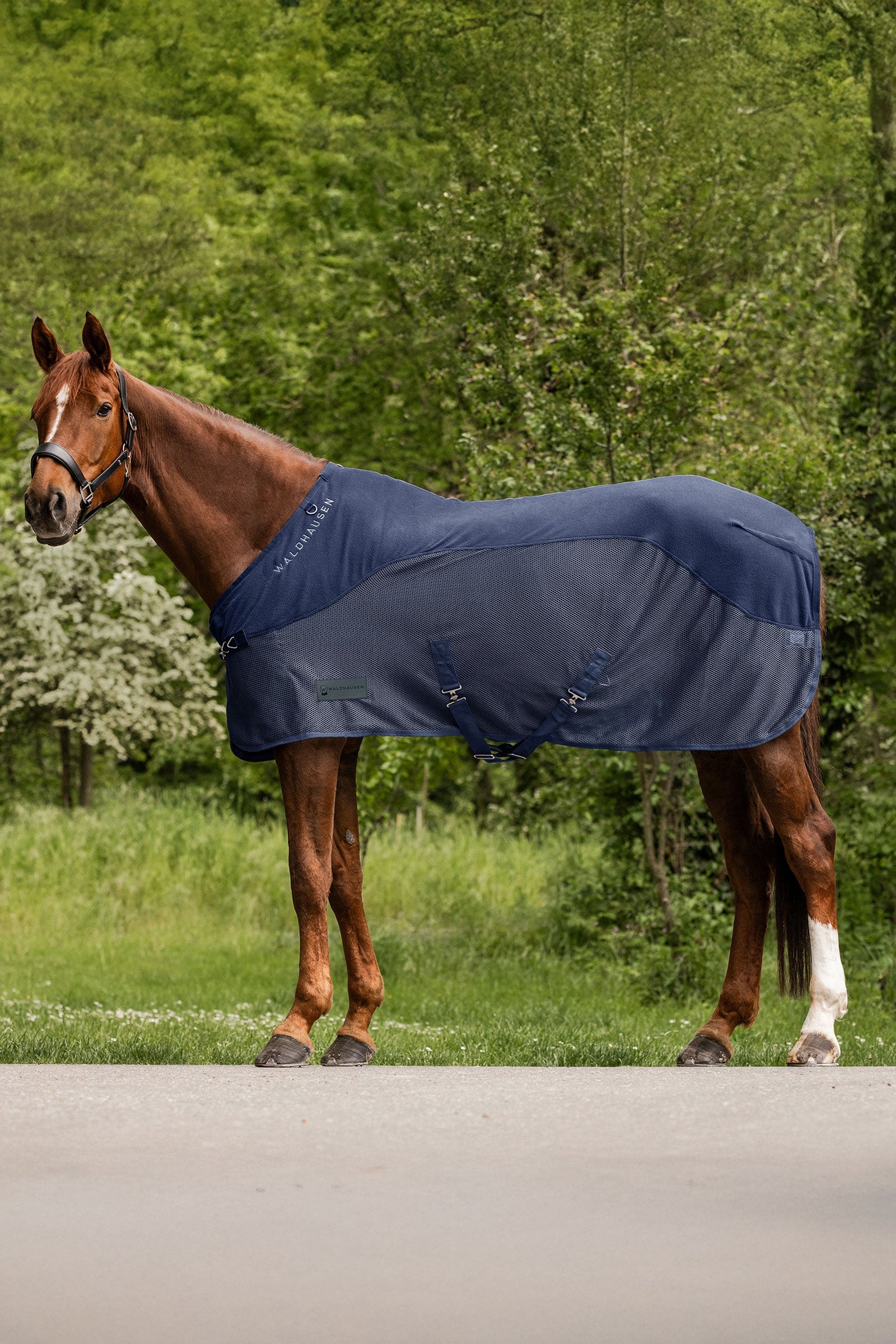 Waldhausen Comfort Fleece Fliegendecke Pferdedecken