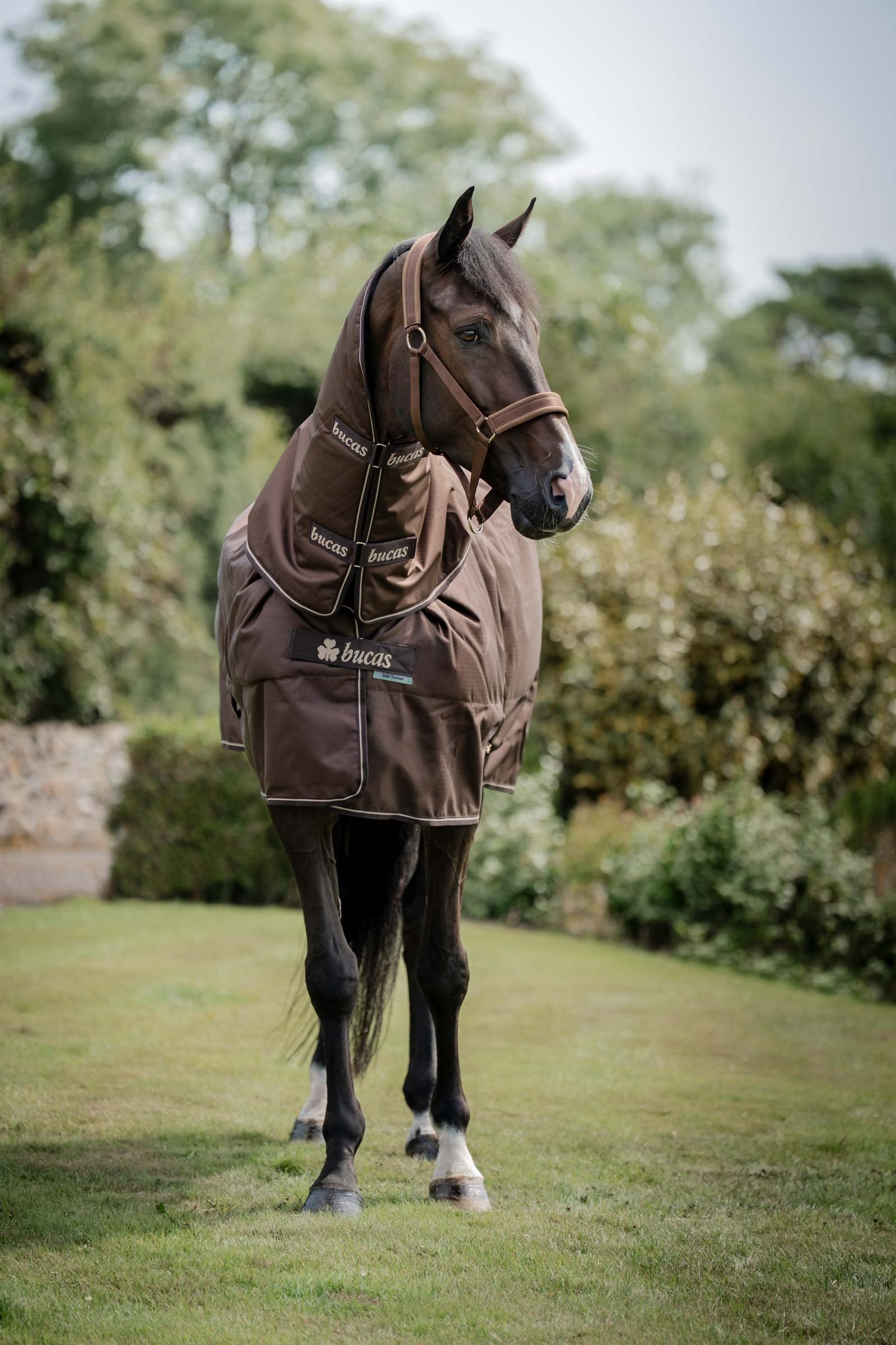 Bucas Irish Turnout 50 g Rug & Neck Pferdedecken