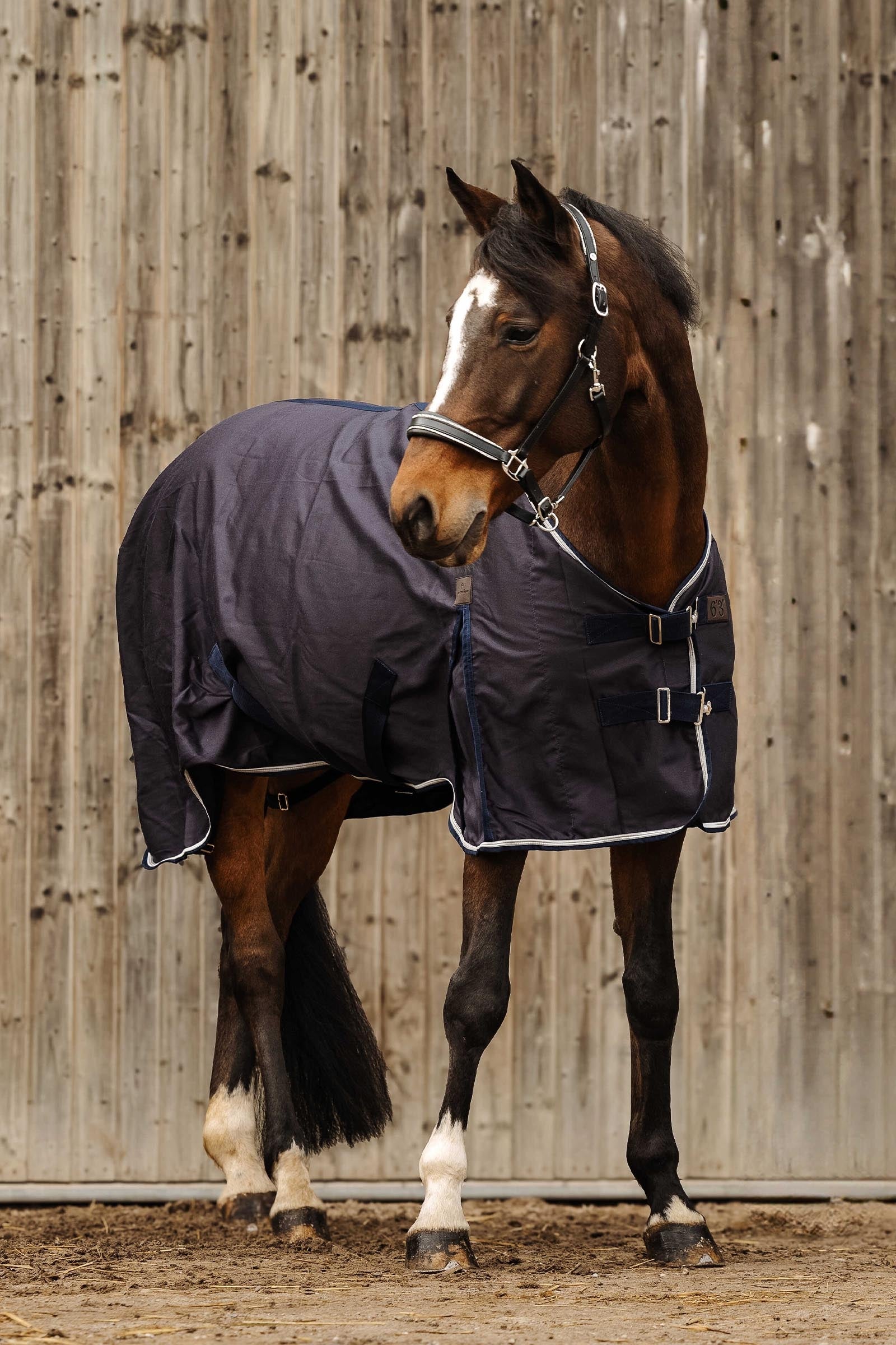 Equi Theme EQUITHÈME Wave Sheet Horse Rugs