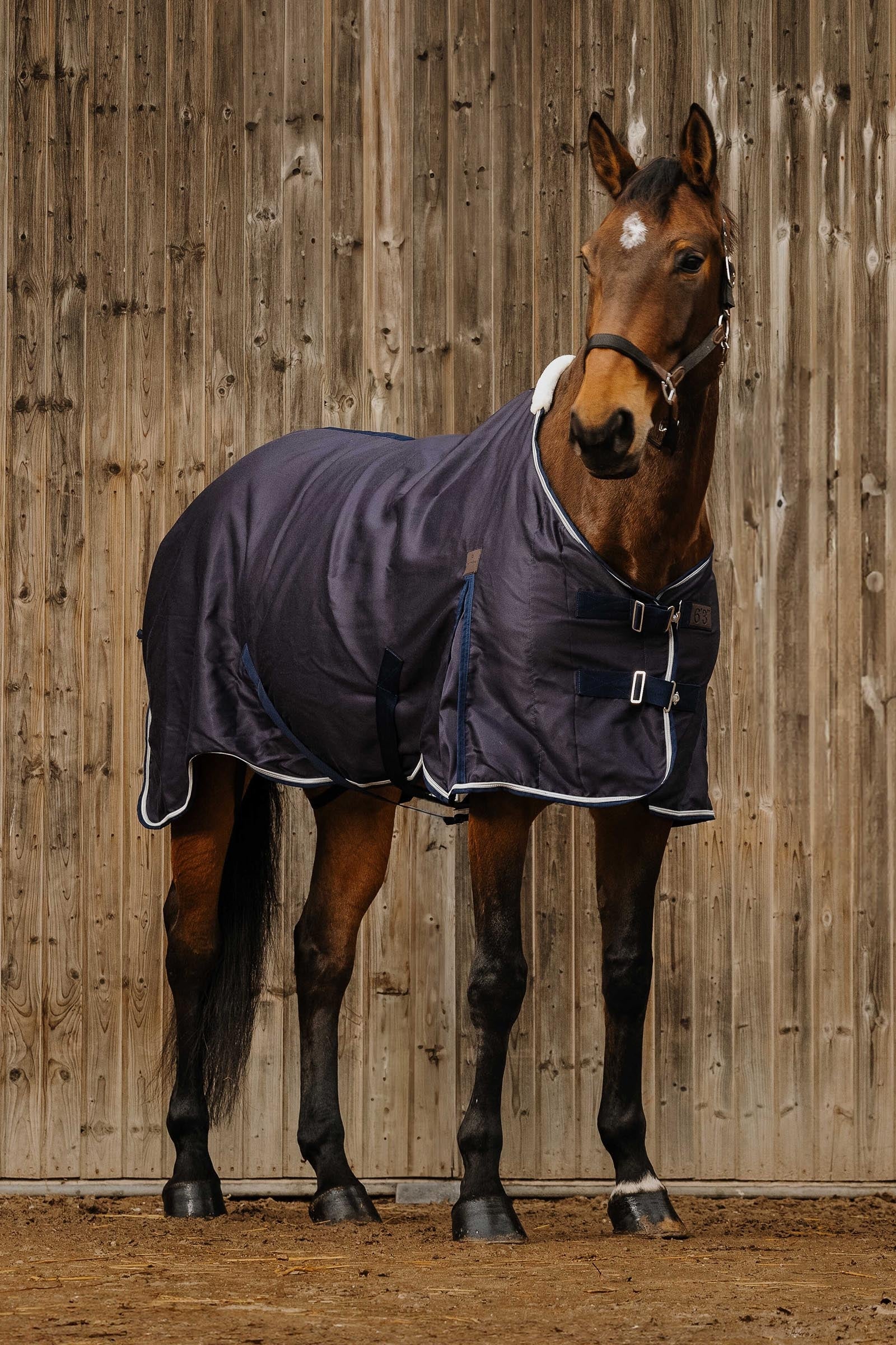 Equi Theme EQUITHÈME Wave Sheet Horse Rugs