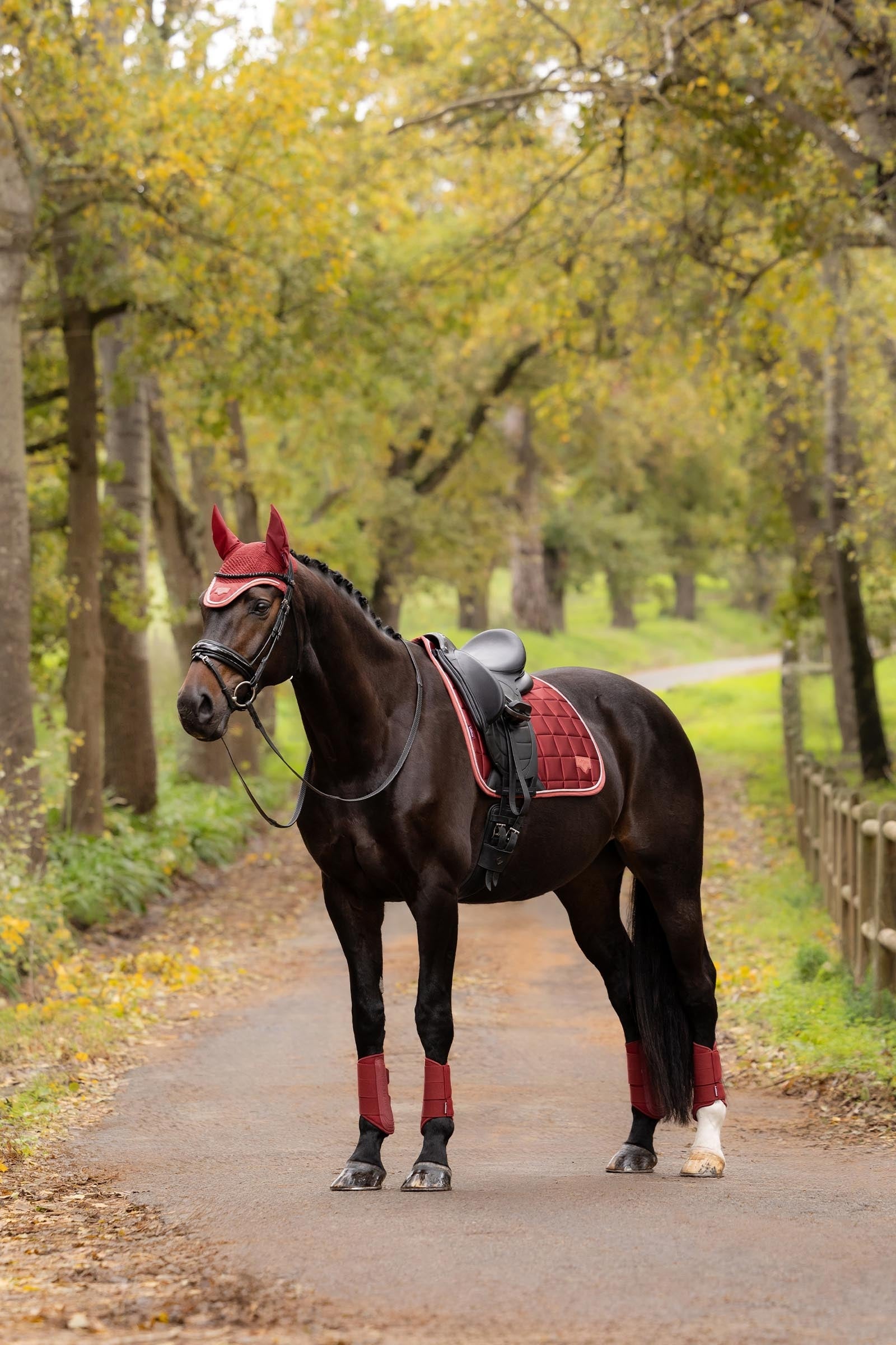 LeMieux Loire Classic Square Dressage Saddle Pad Saddle Pads