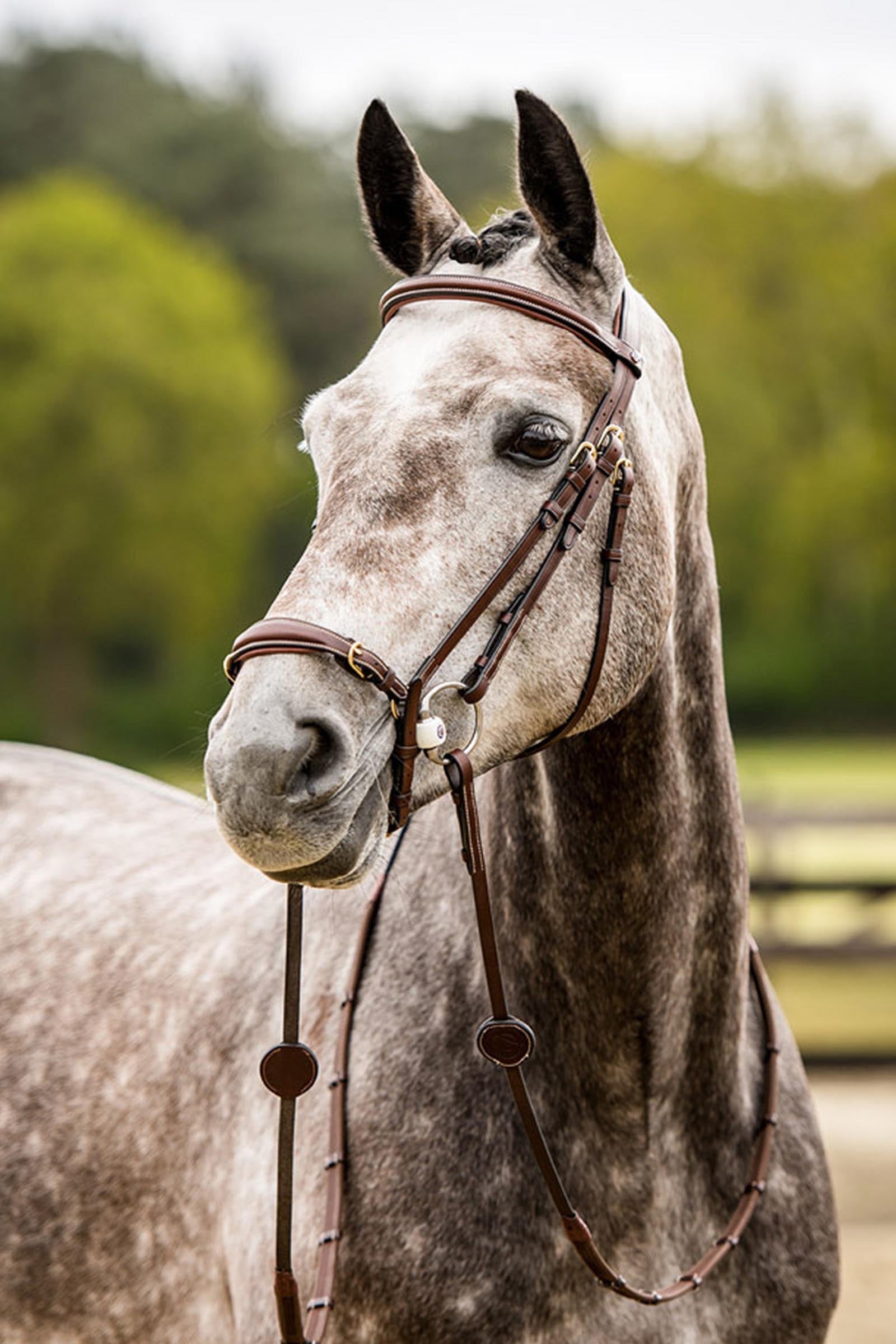 Trust Equestrian Barcelona Adjustable Drop Noseband Bridle Bridles & Reins