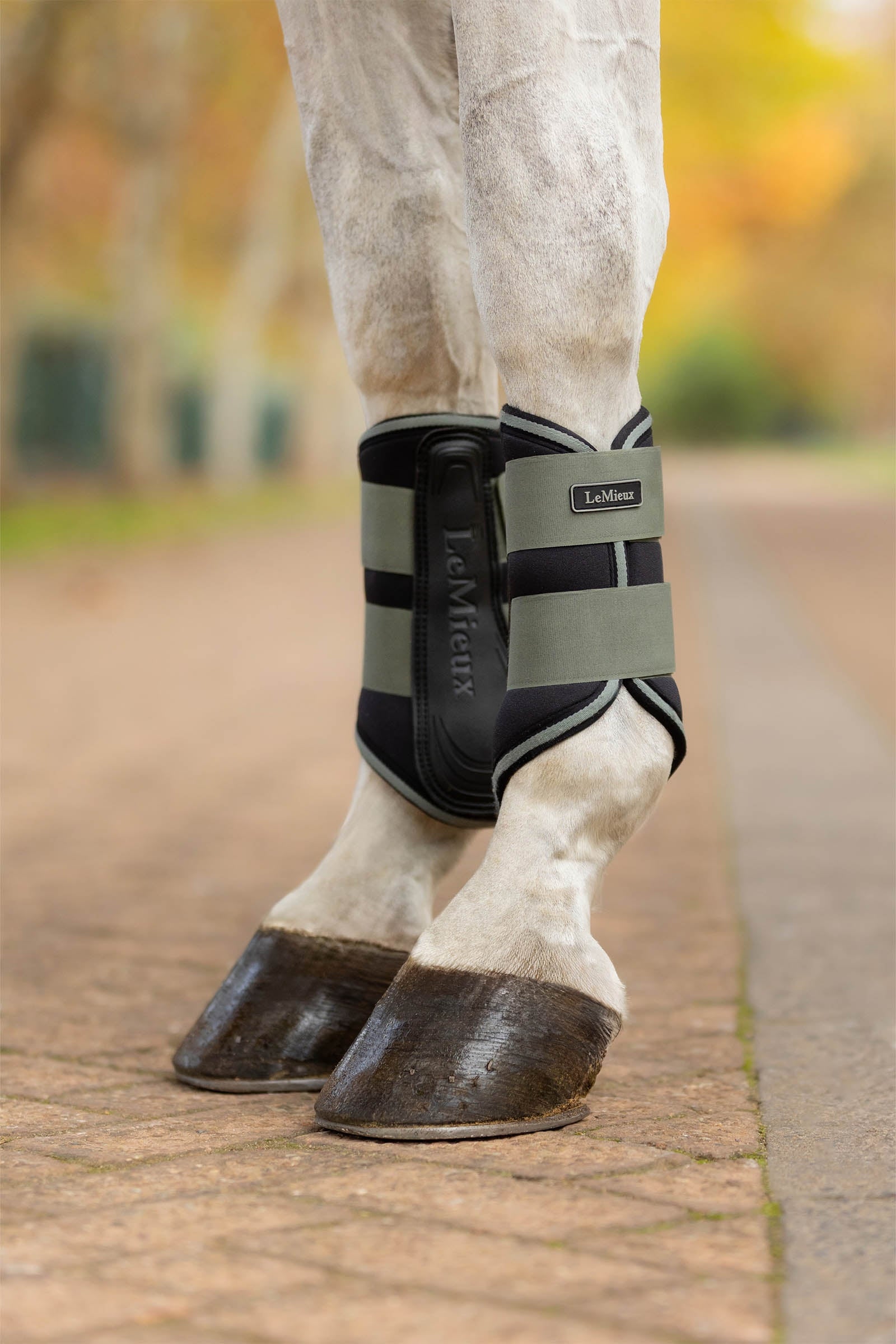 LeMieux Grafter Brushing Boots Leg & Hoof Protection