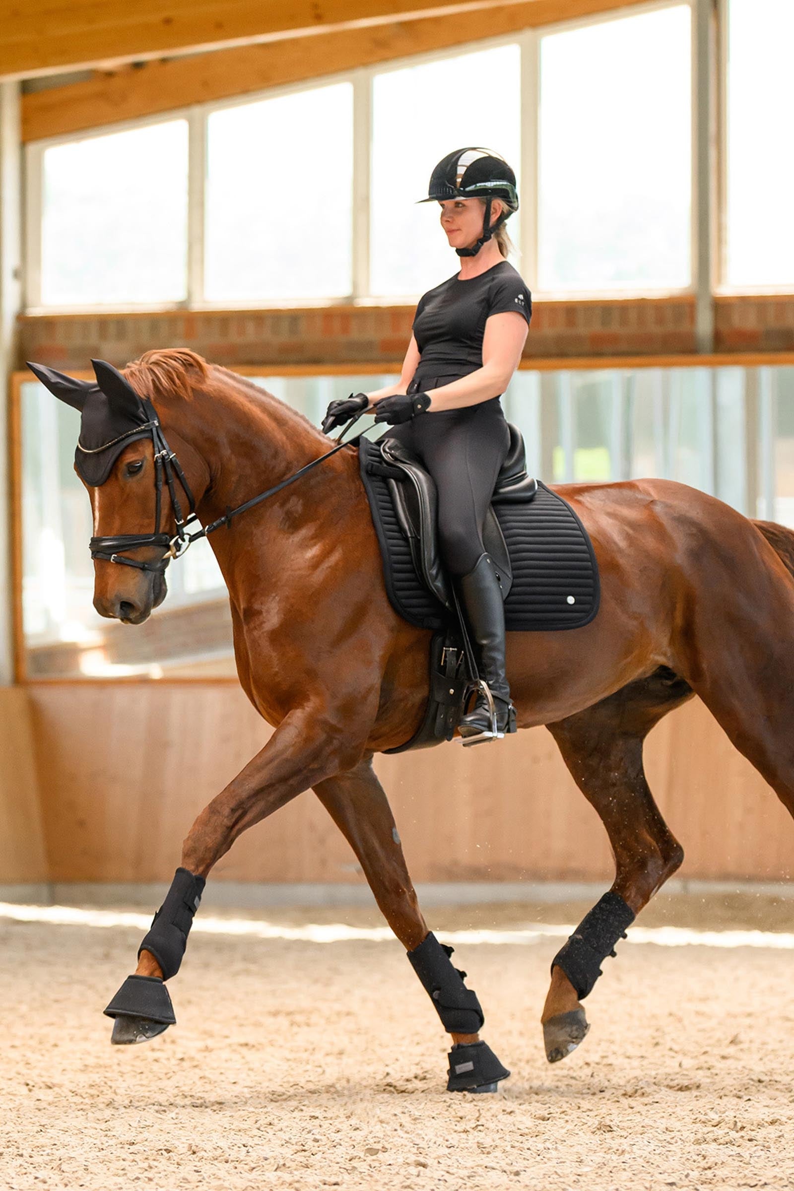 ELT Springfield Ladies Functional Shirt Women’s Riding Clothing