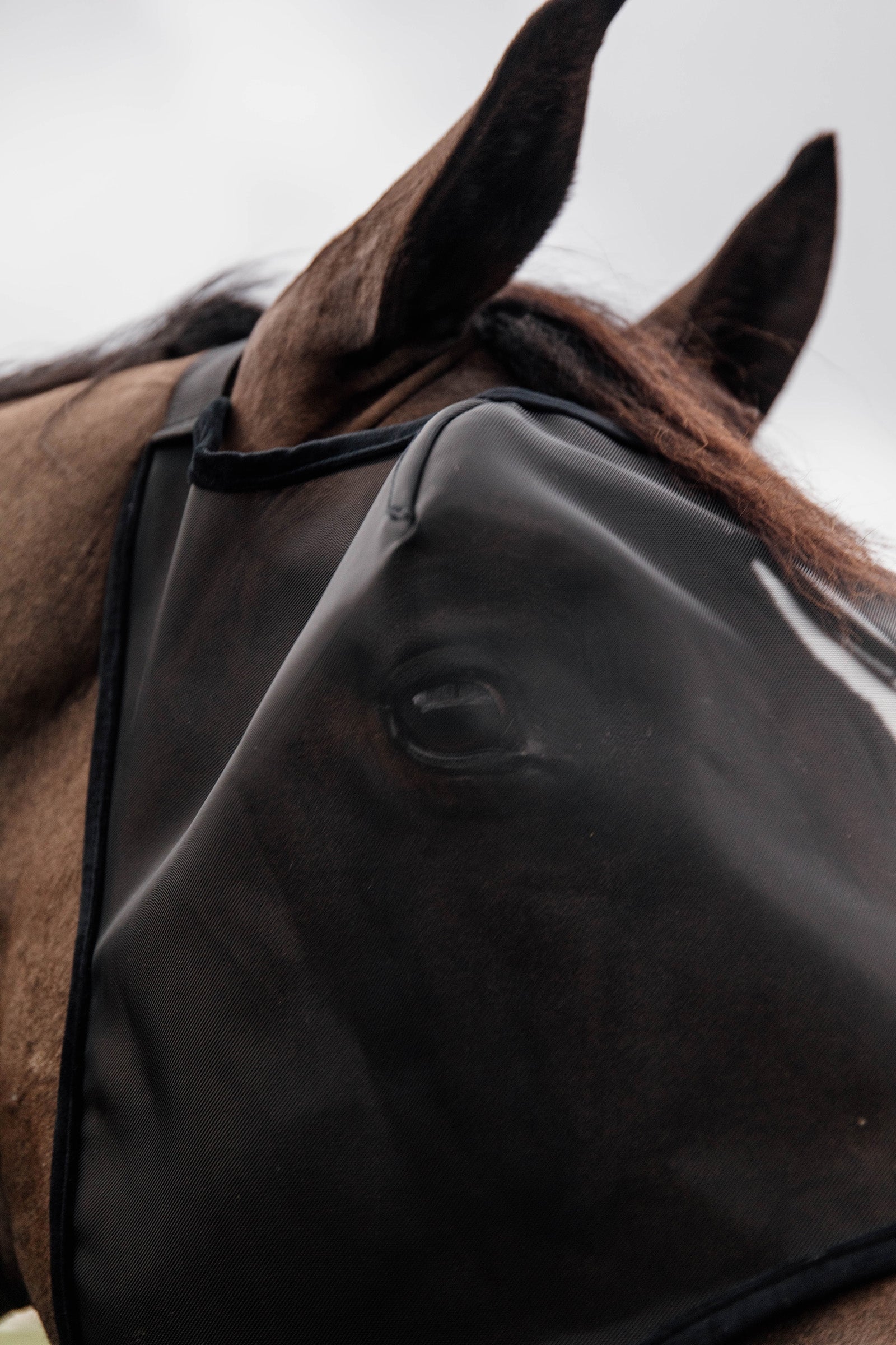 Kentucky Horsewear Classic  Fly Mask without Ears Antifly Protection for Horses