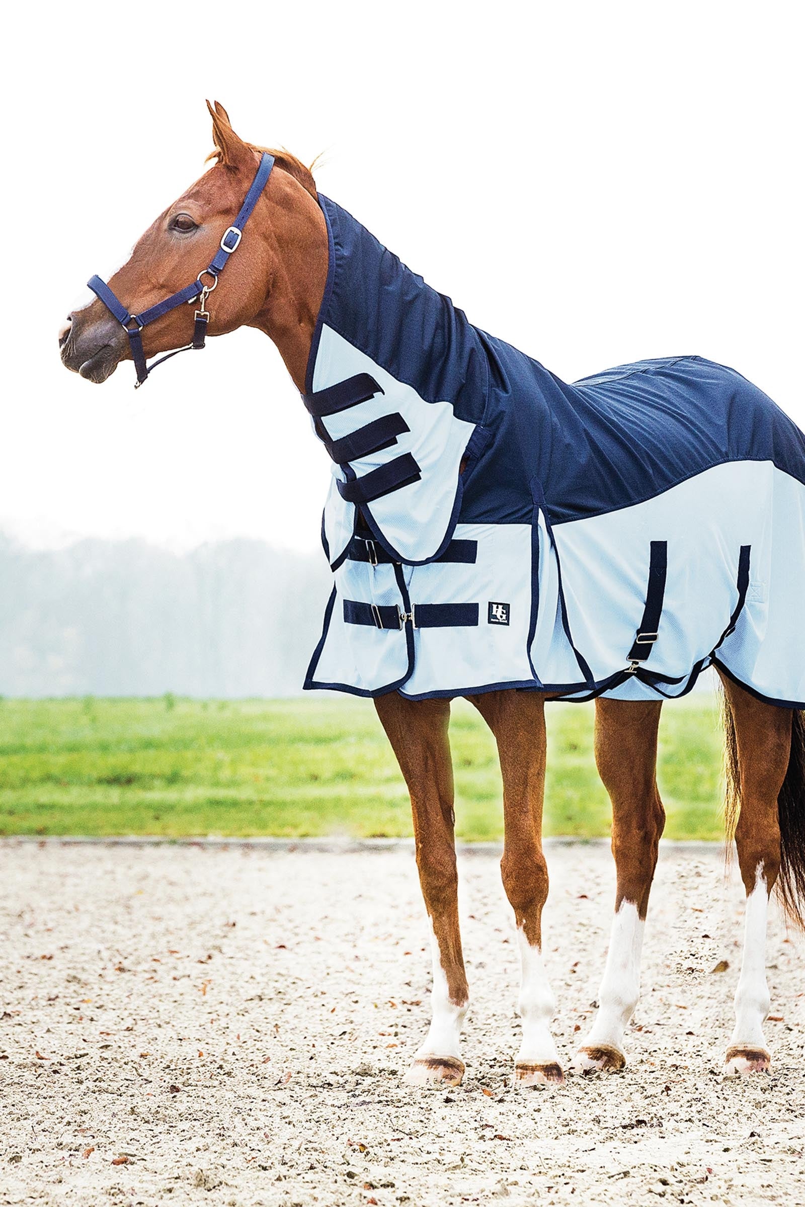 Horse Guard HorseGuard Aiman Regen-Fliegendecke Pferdedecken