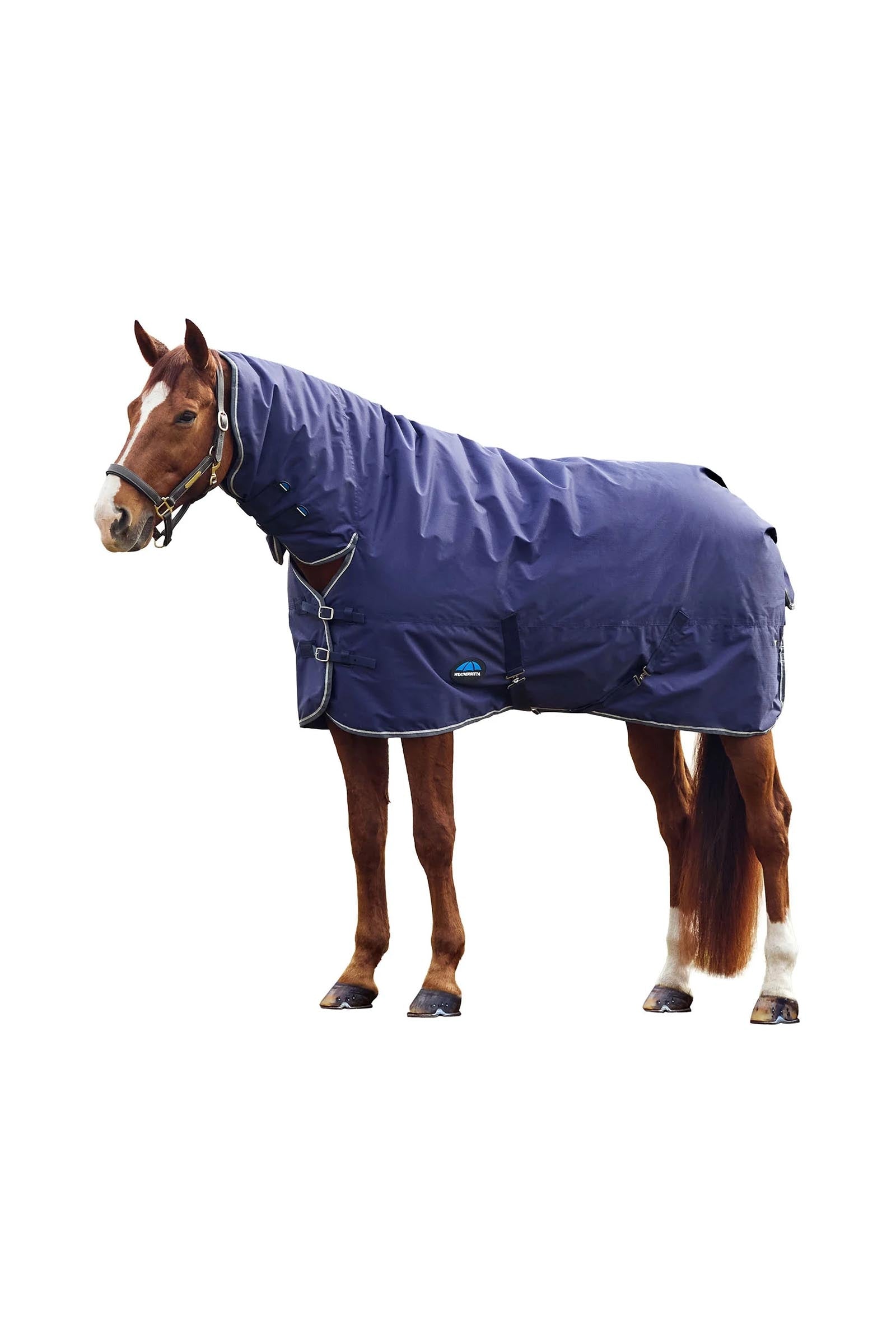 Weatherbeeta Comfitec Tyro Turnout Rug Combo Neck 220g Horse Rugs