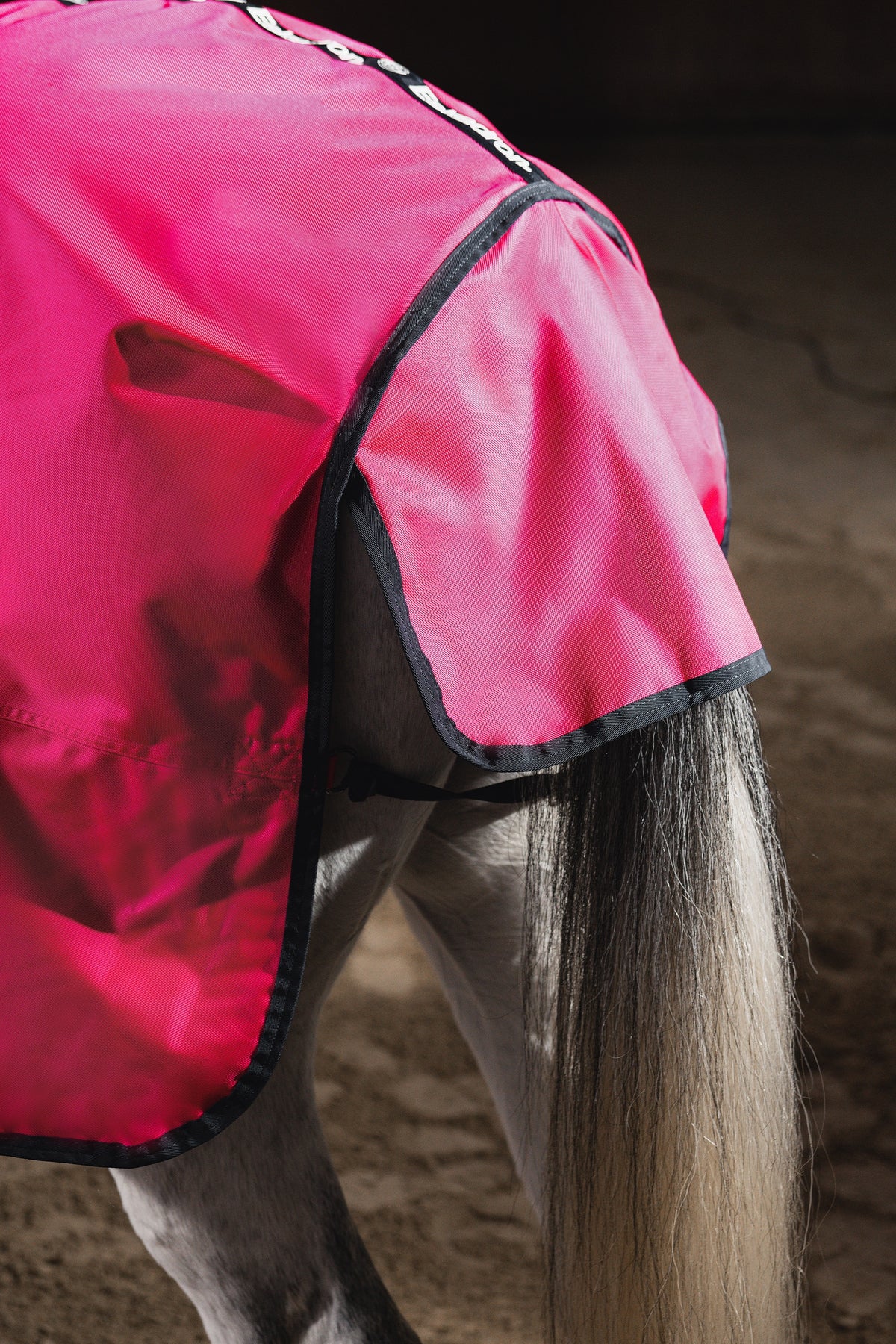 Eskadron Dynamic AW26 Beta 1680D 50g Turnout Rug Horse Rugs