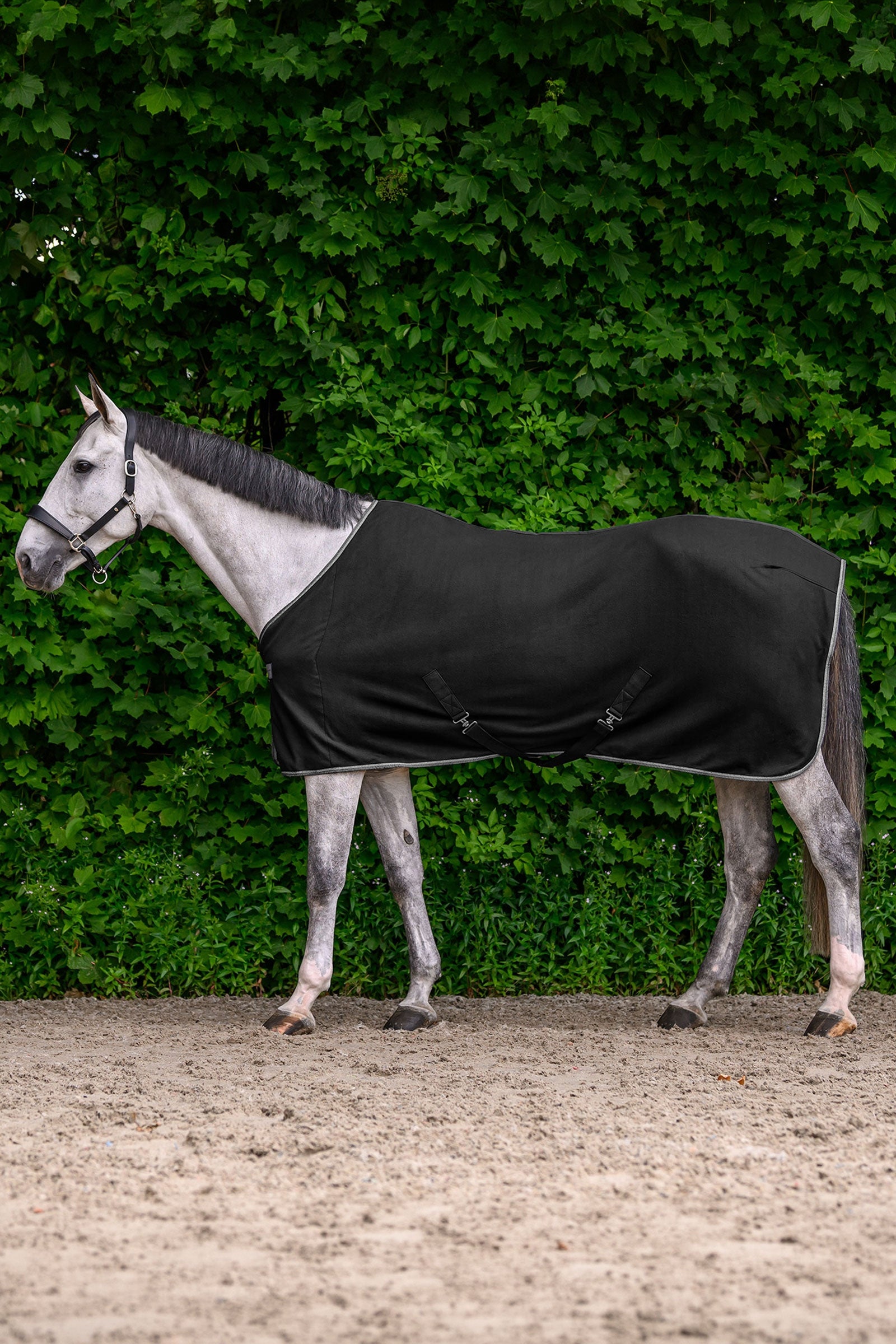 Waldhausen ECONOMIC Fleece Rug with Cross Surcingles Horse Rugs