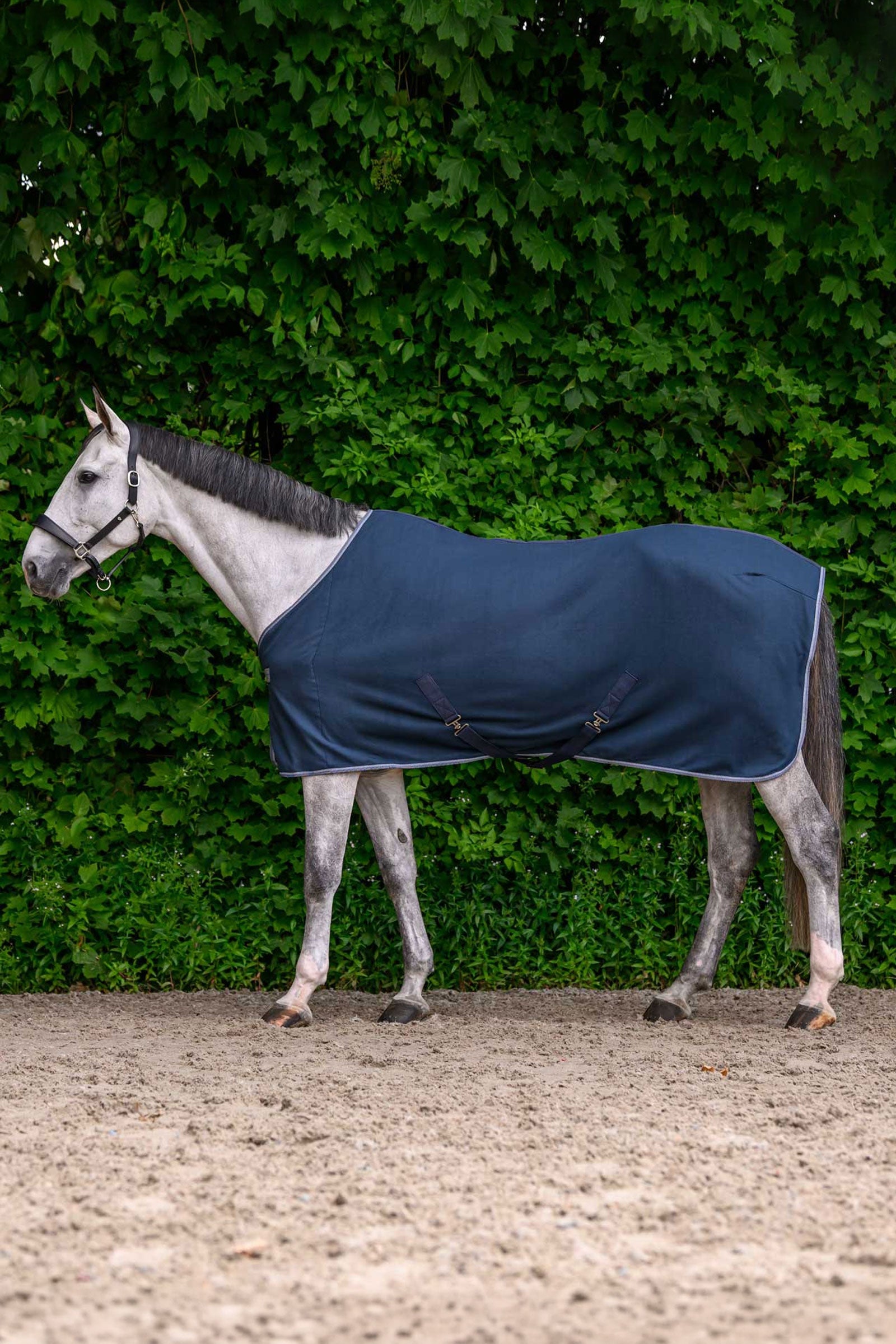 Waldhausen ECONOMIC Fleece Rug with Cross Surcingles Horse Rugs