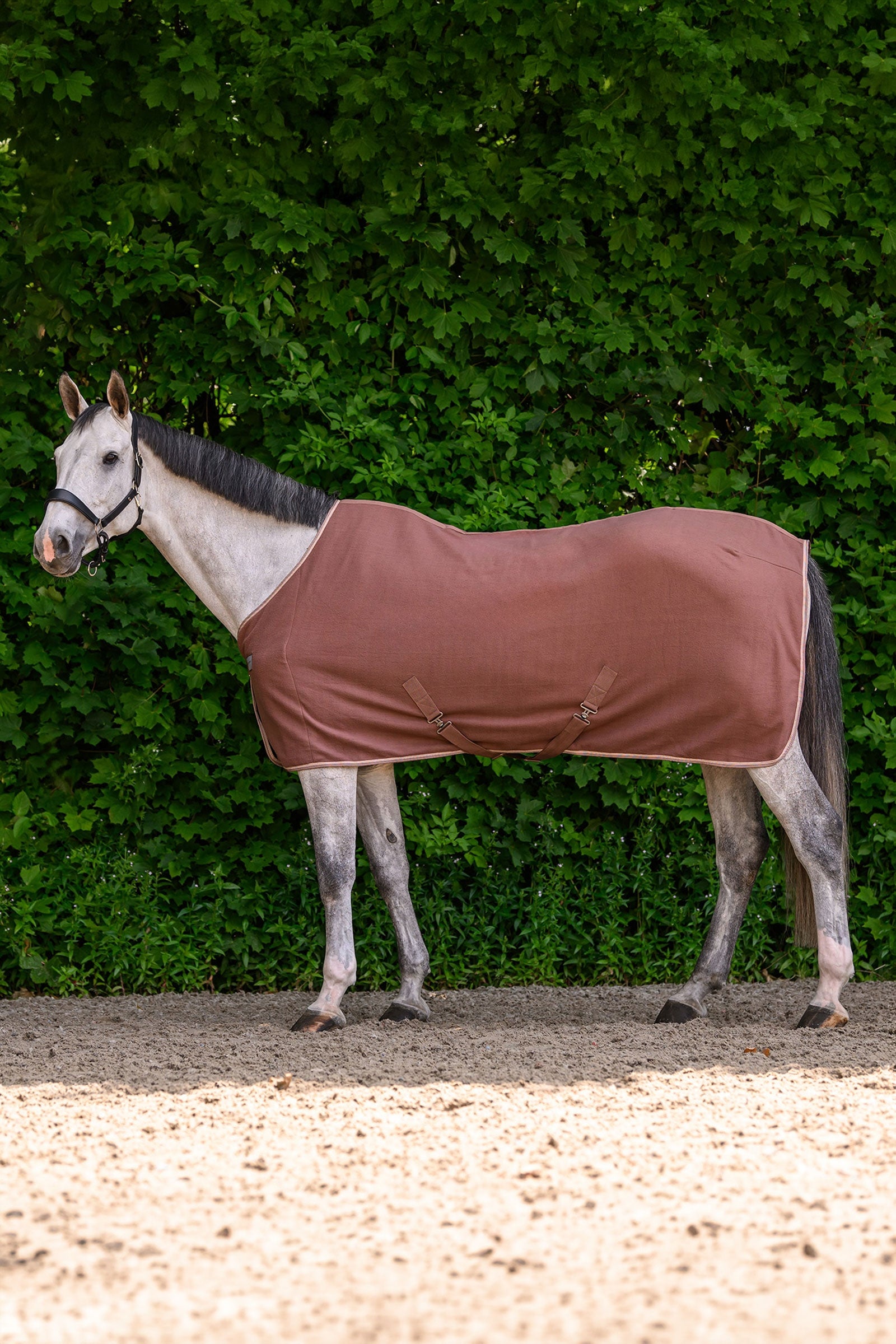 Waldhausen ECONOMIC Fleecedecke mit Kreuzgurten Pferdedecken