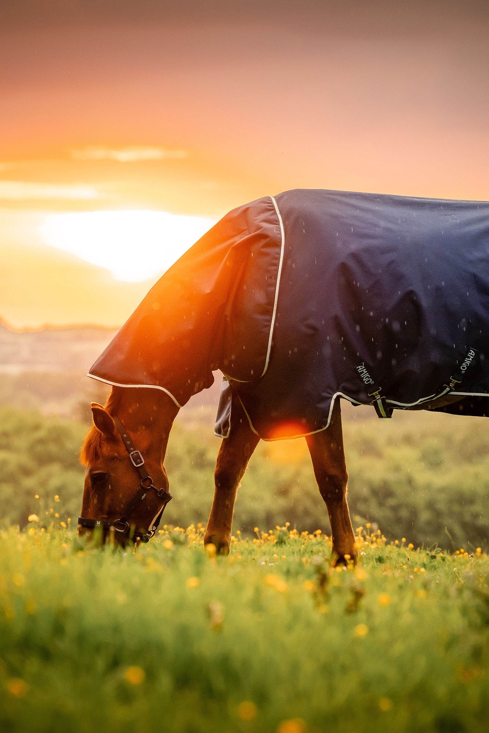 Horseware Amigo Ripstop 900D Plus Outdoordecke, 200 g Pferdedecken