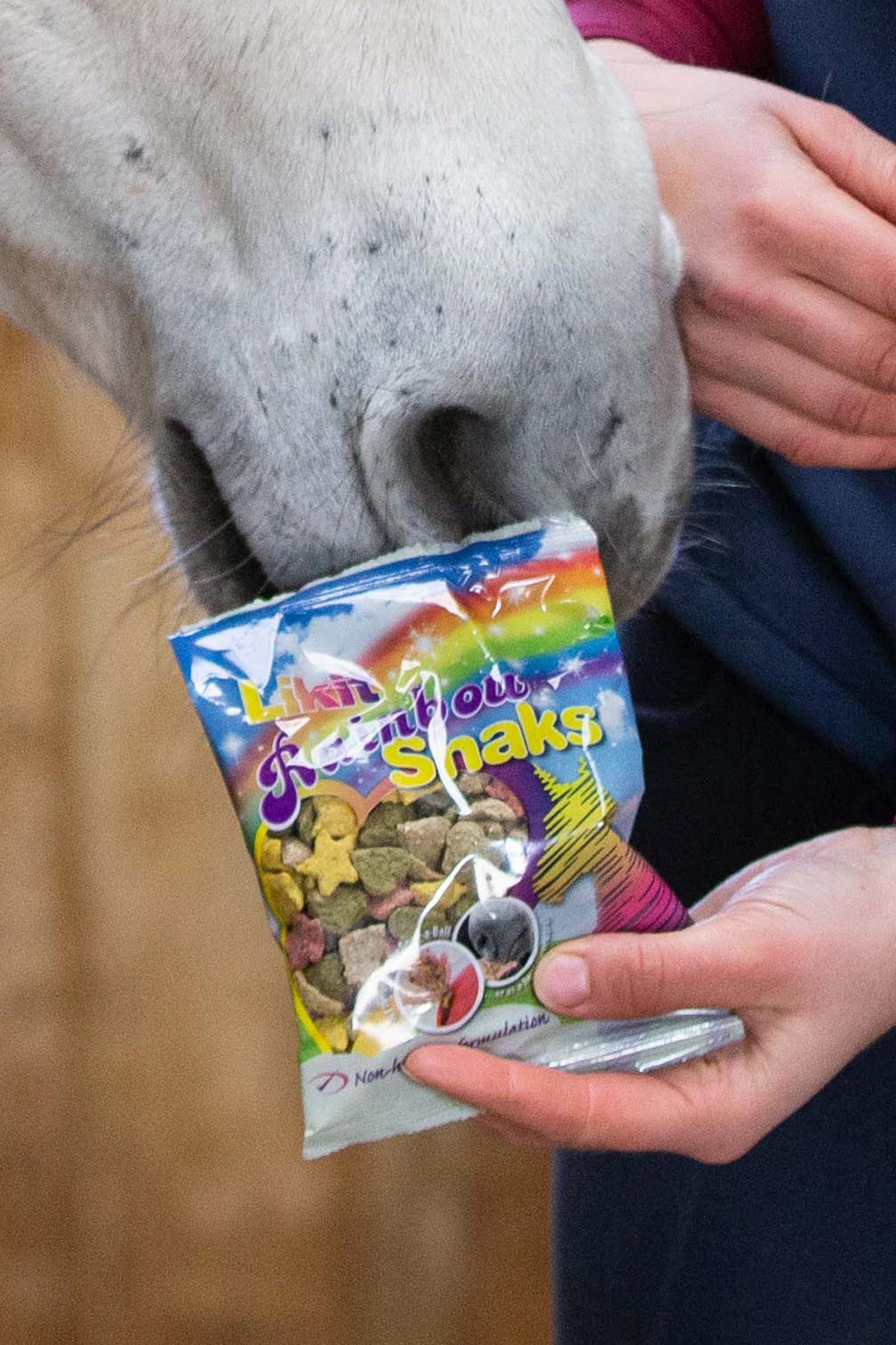 Likit Snaks, 100g Horse Feed & Nutrition