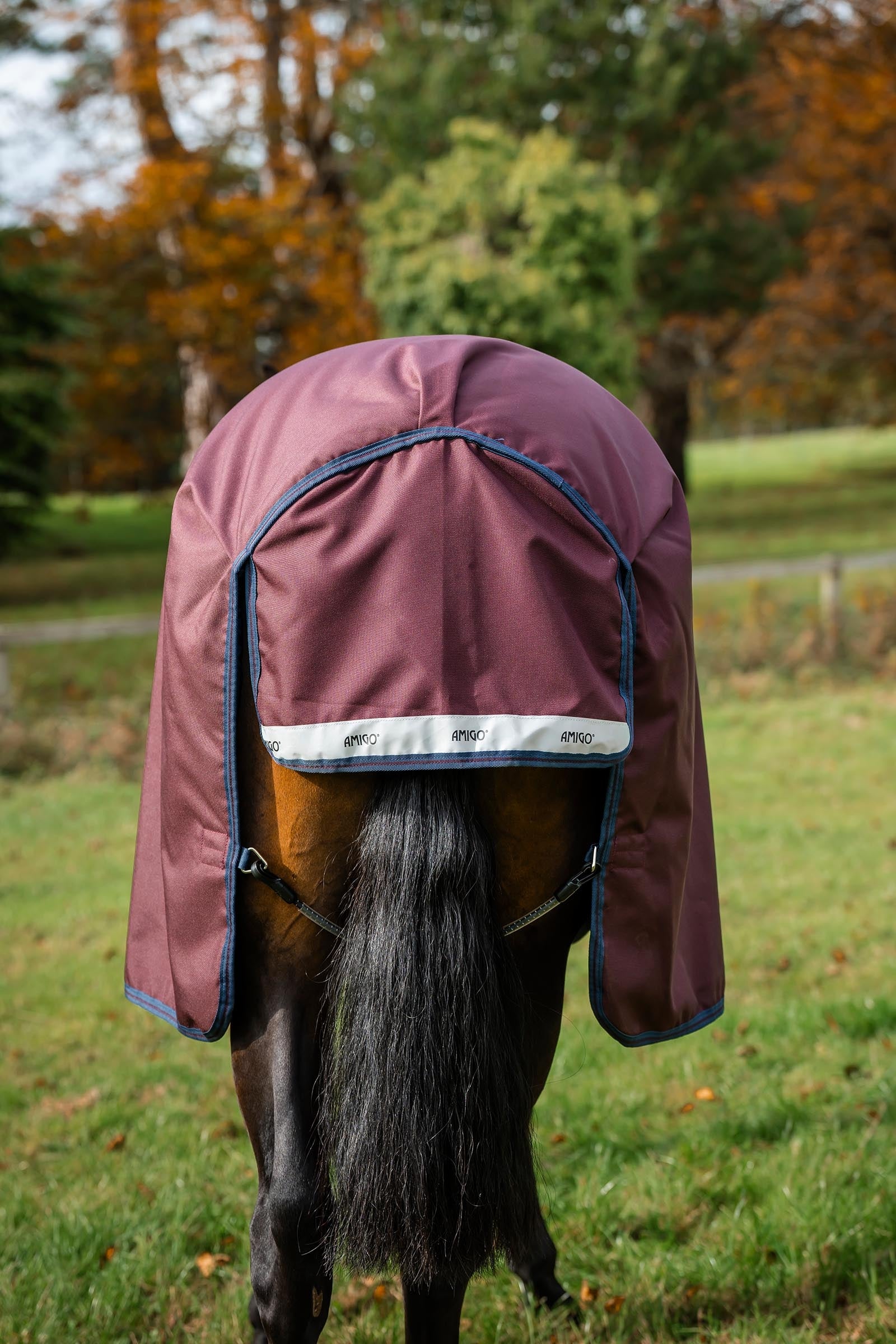 Horseware Amigo 1200D Turnout Rug, 250 g Horse Rugs