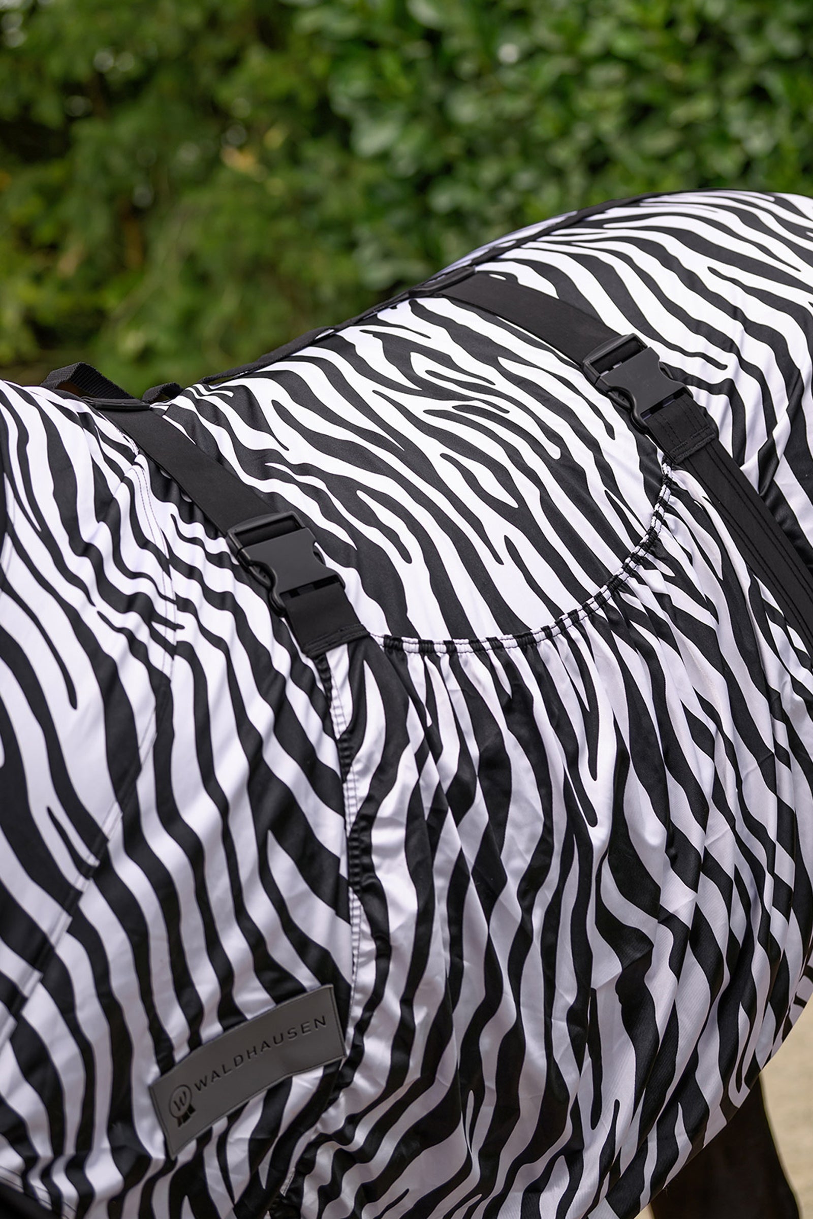 Waldhausen Zebra Eczema Rug Horse Rugs