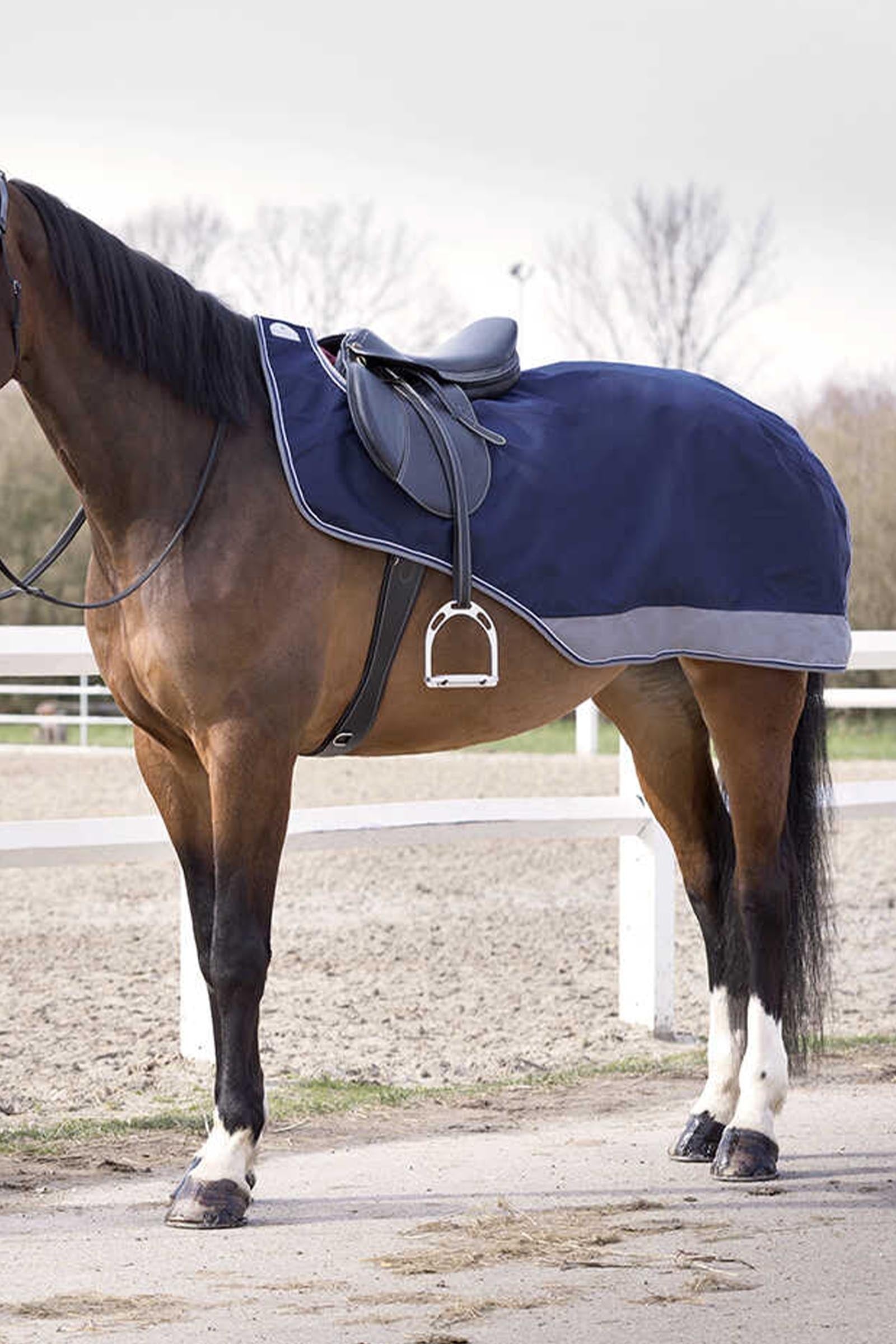 Equi Theme EQUITHÈME TYREX 600D Exercise Sheet Horse Rugs