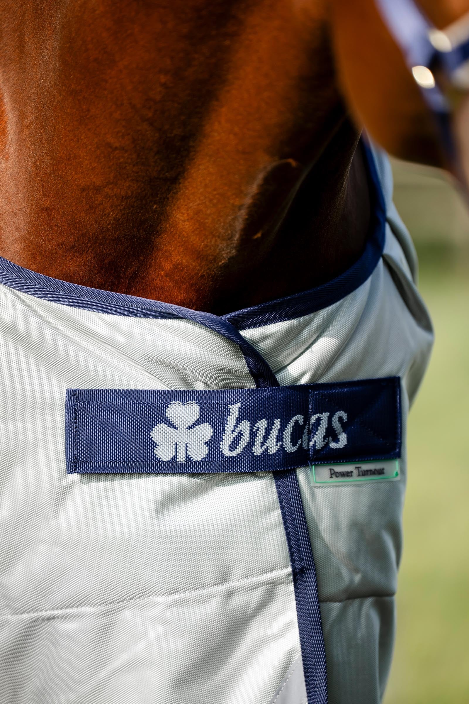 Bucas Power Turnout Light, 0g Horse Rugs
