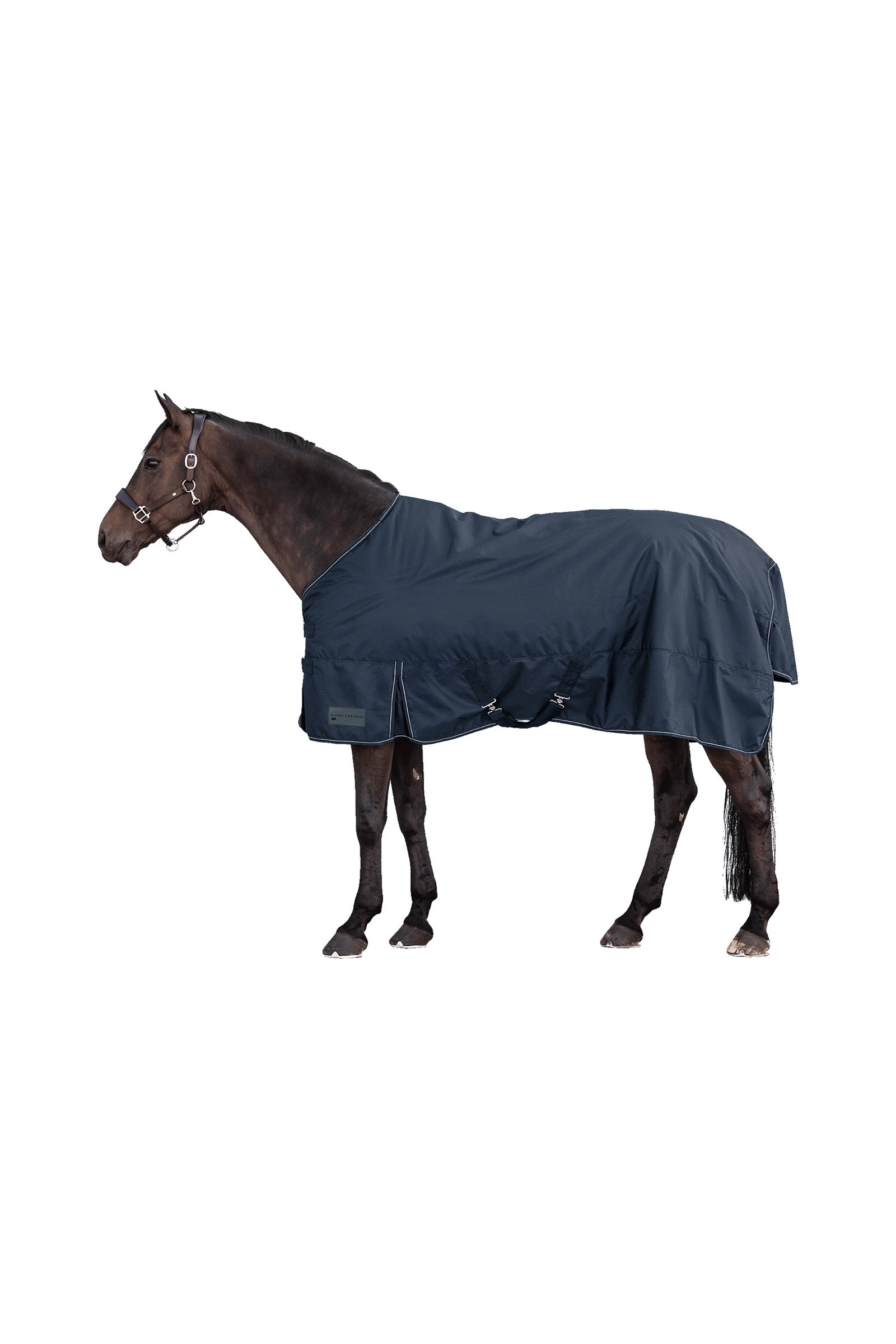 Waldhausen NORDIC Outdoor Rug, 300 g Horse Rugs