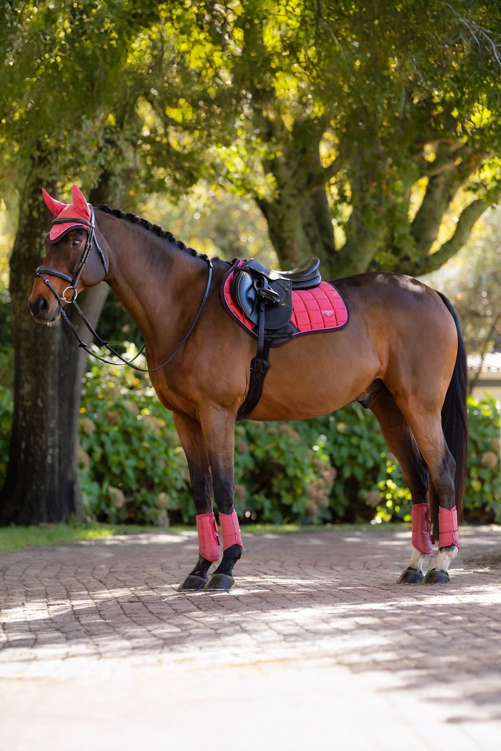 LeMieux Loire Classic Square Close Contact Saddle Pad Saddle Pads