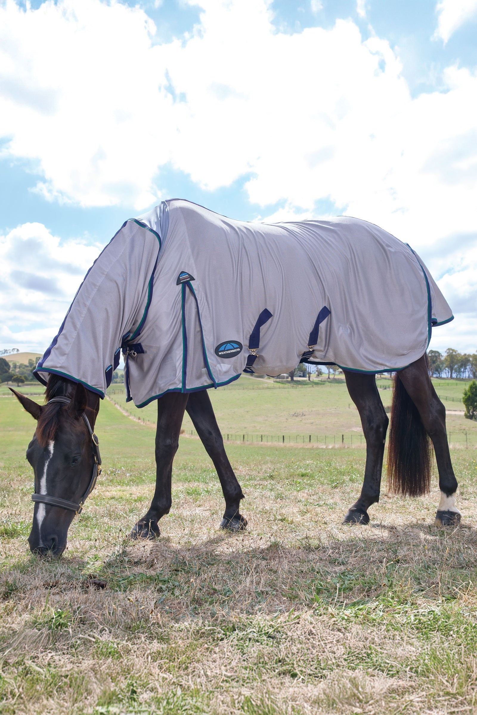 Weatherbeeta Comfitec Zephyr Fly Sheet Combo W. Fixed Neck, 0g Horse Rugs