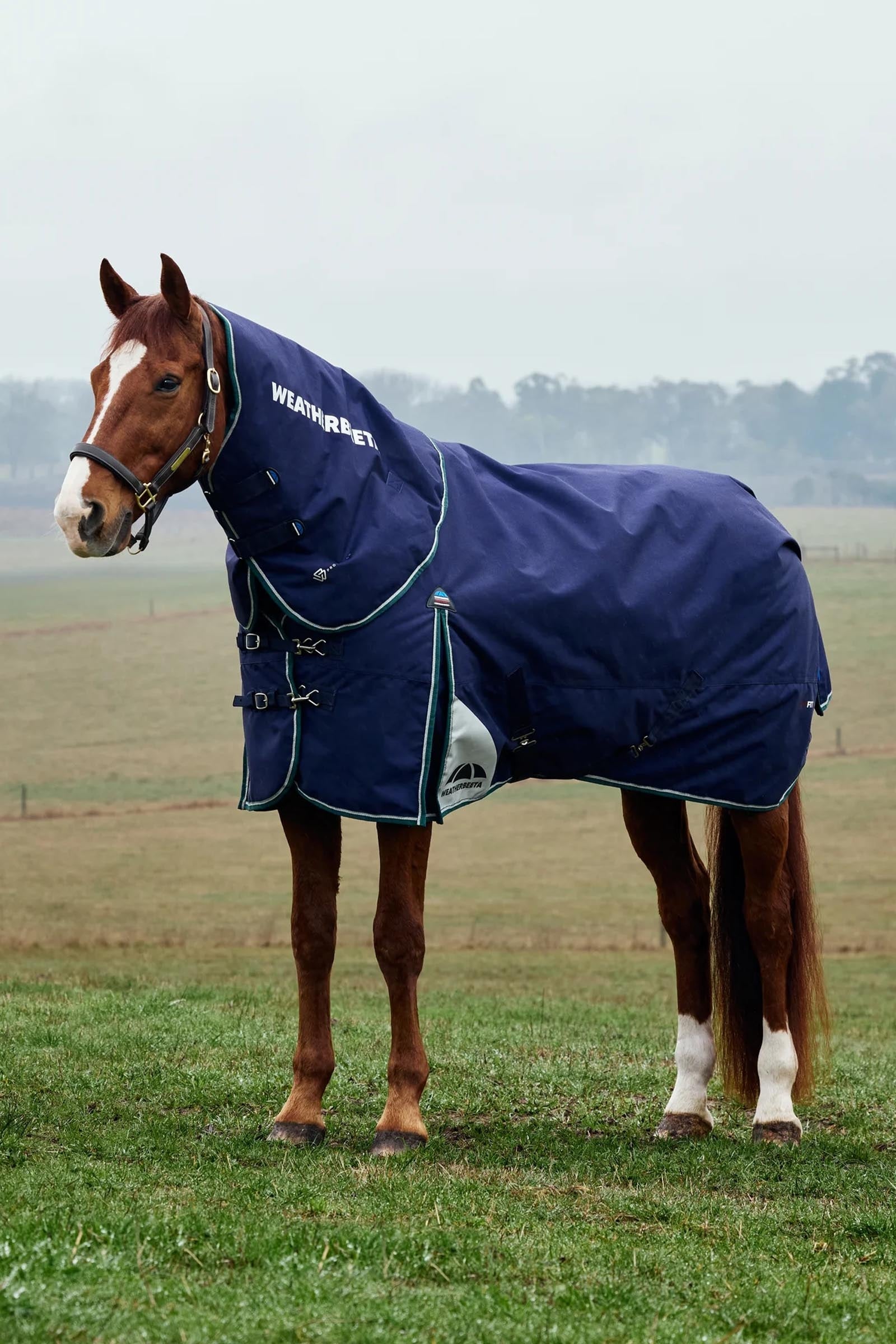 Weatherbeeta ComFiTecPlus Dynamic Turnout Detach-a-Neck, 100 g Horse Rugs