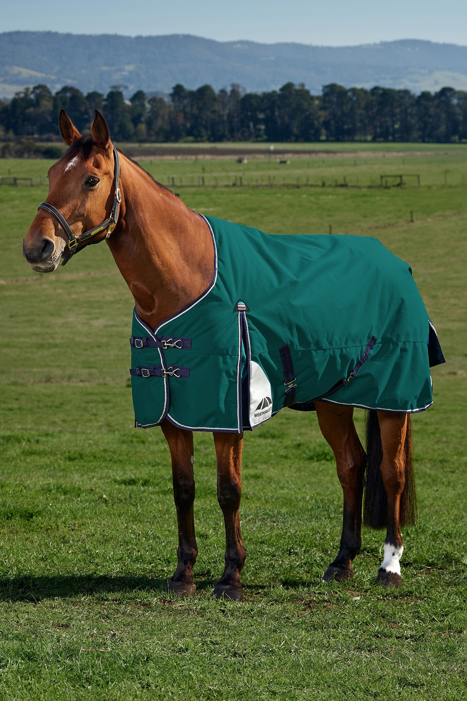 Weatherbeeta ComFiTecPlus Dynamic Turnout Detach-a-Neck, 100 g Pferdedecken