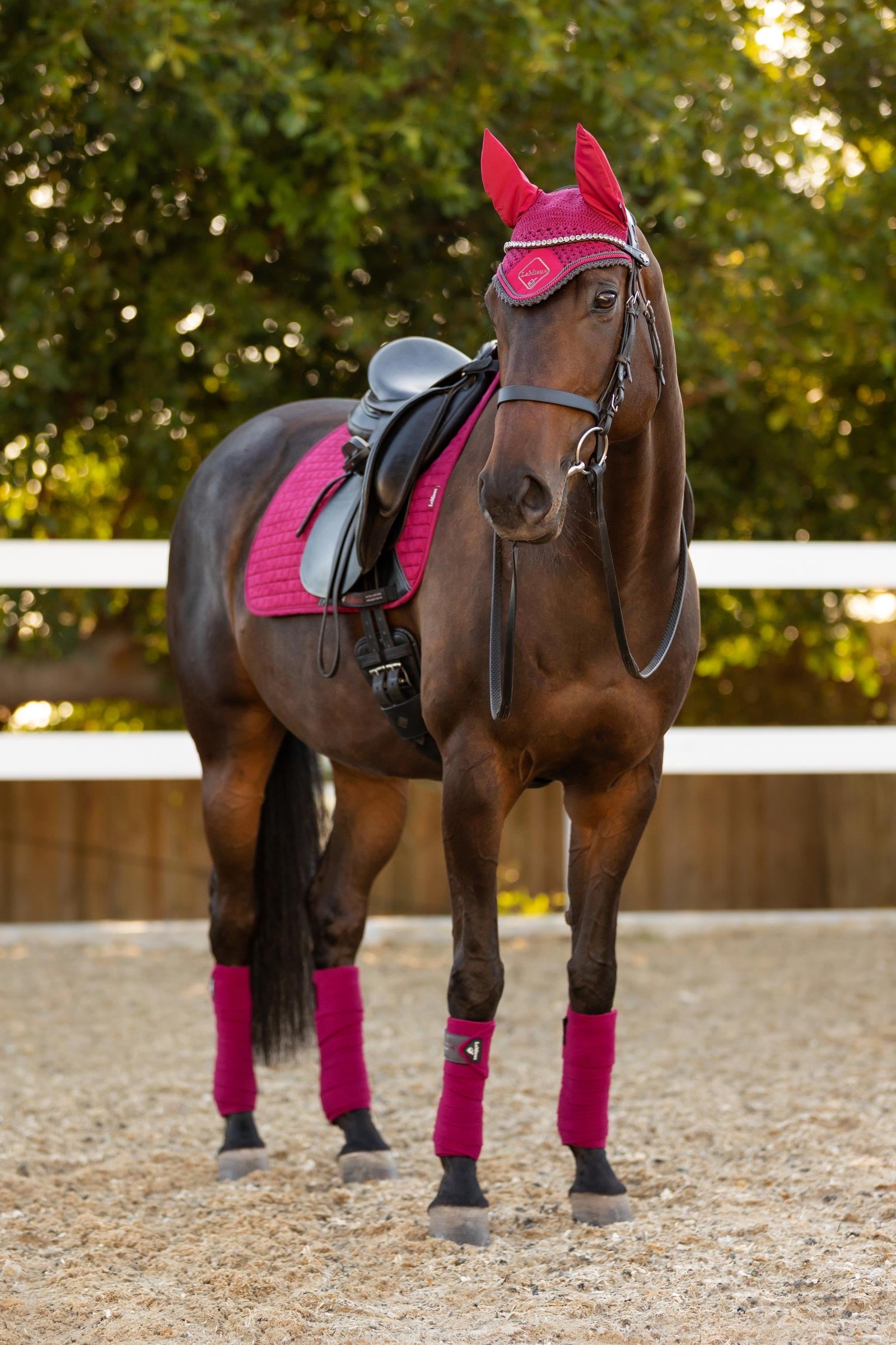 LeMieux Suede Seasonal Luxury Dressage Pad Saddle Pads