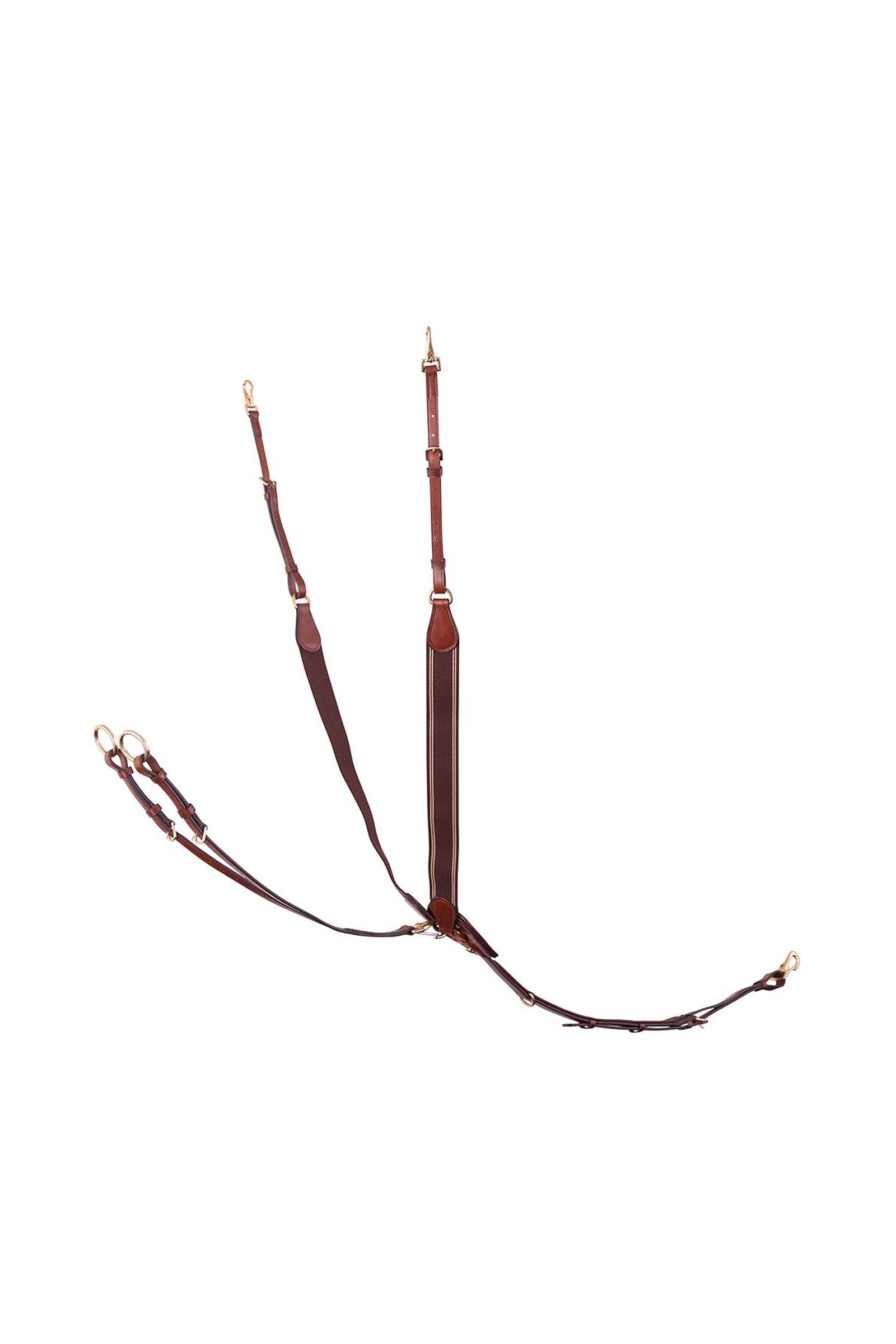 BR Taunton elastisches Vorderzeug mit abnehmbarem Martingal Trensenzäume & Zügel