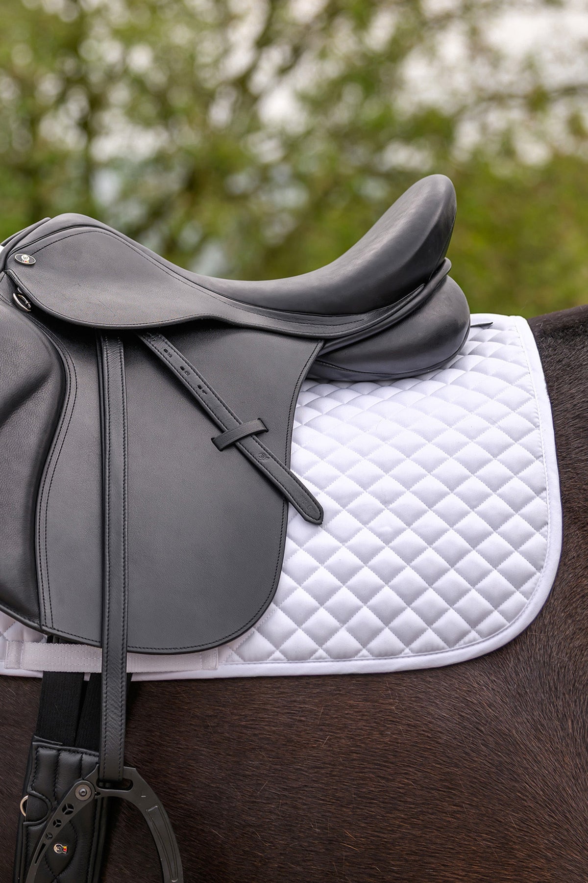 Waldhausen Felix Universal Saddle Pad Saddle Pads