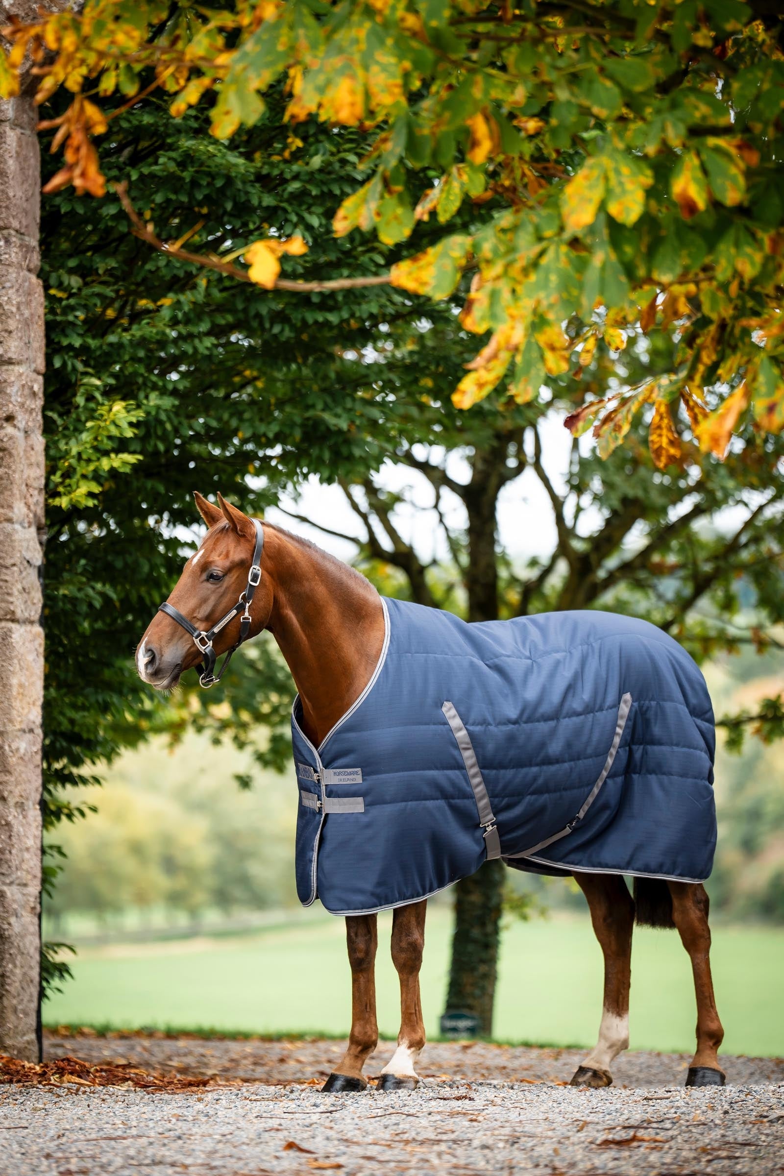 Horseware Rambo Stable 100 g Horse Rugs