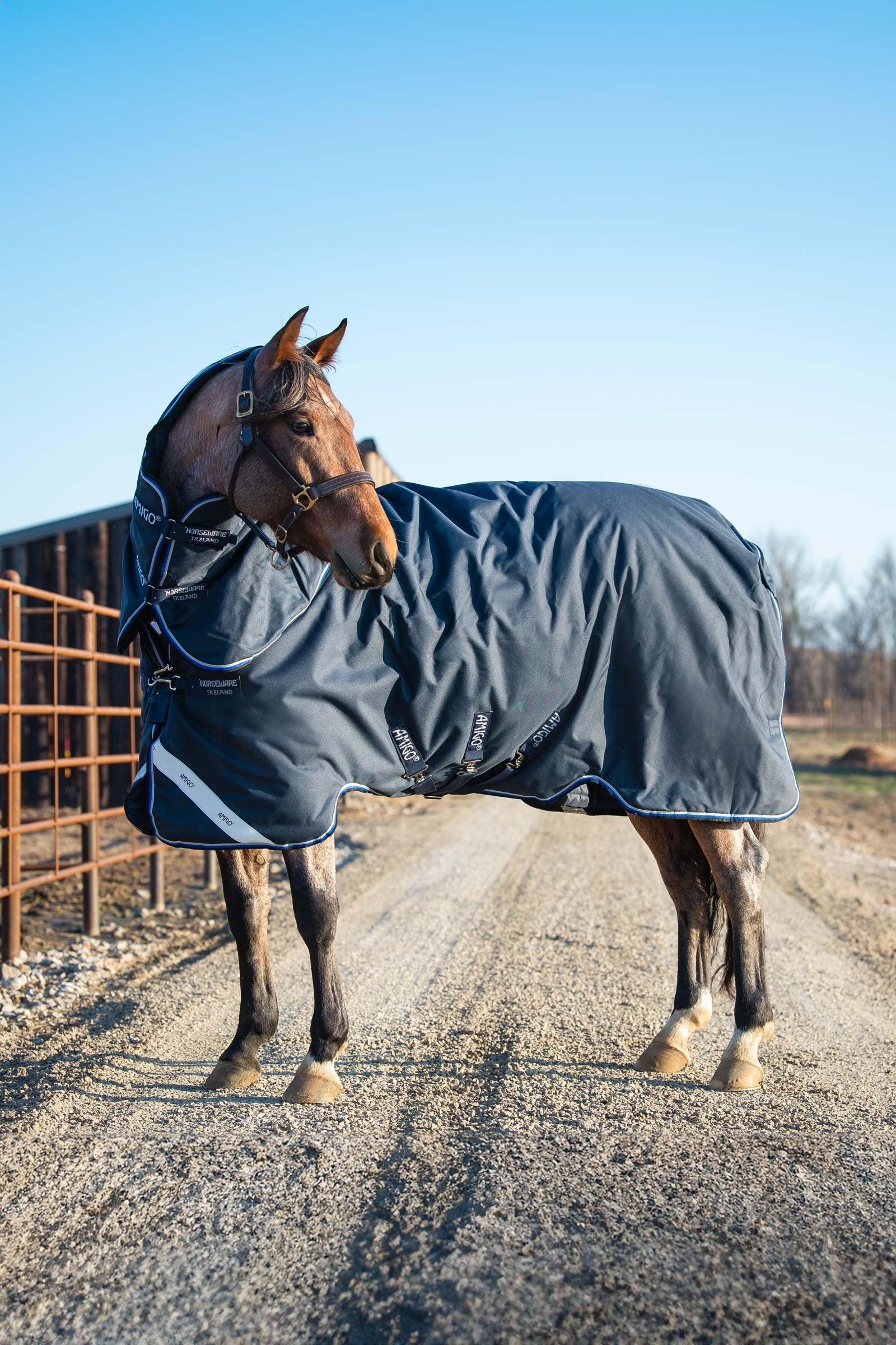 Horseware Amigo Bravo 12 Plus Weidedecke mit abnehmbarem Hals, 400g Pferdedecken