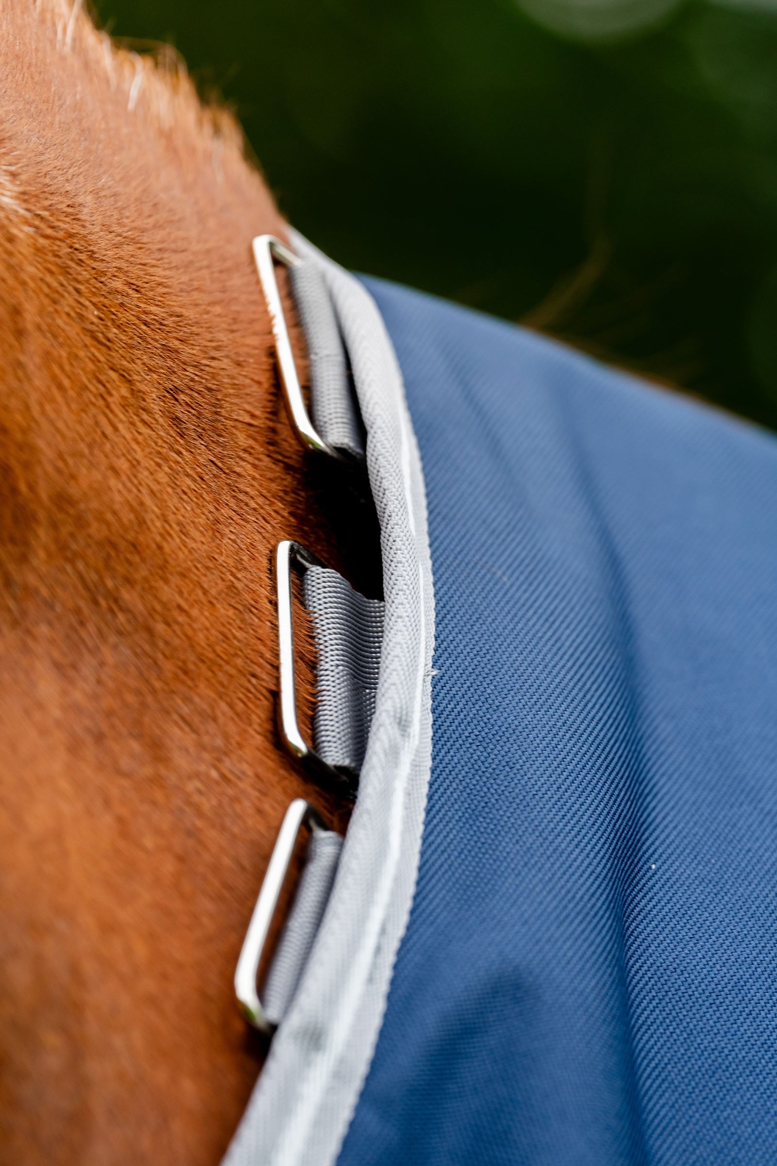 Horseware Amigo Bravo 12 Plus Turnout Rug With Detachable Neck, 400g Horse Rugs