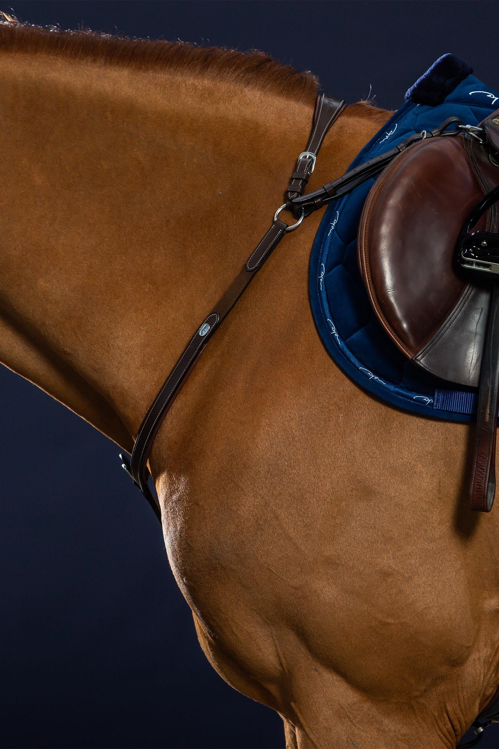 Dy'on Working Bridge Breastplate  Bridles & Reins