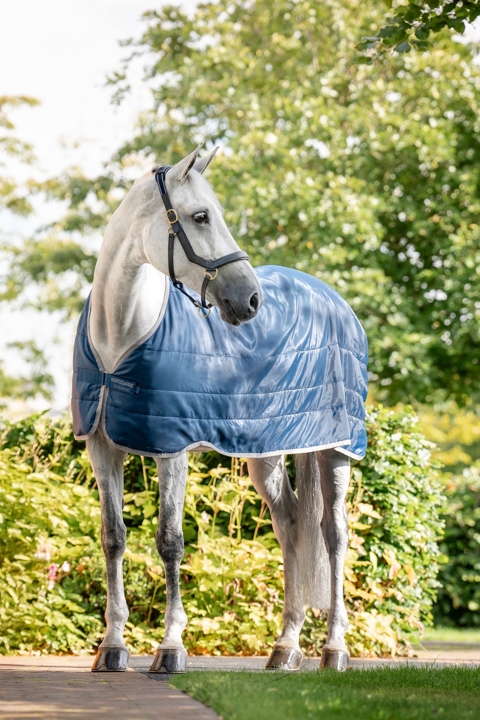 Horseware Ionic Therapy Unterdecke 200 g Pferdedecken