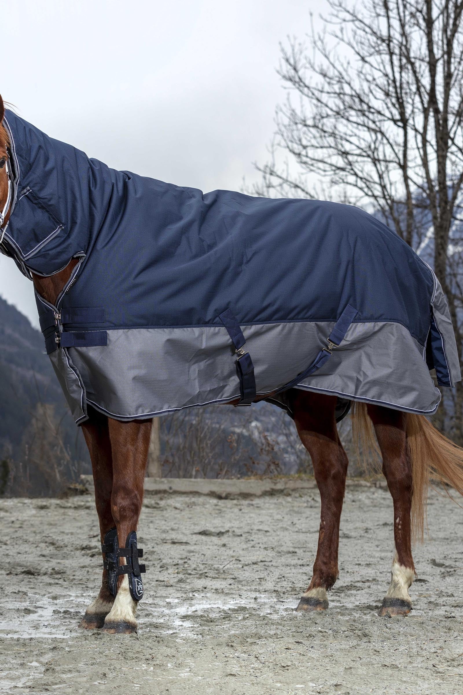 Equi Theme EQUITHÈME TYREX 600D Combo Rug, 200 g Horse Rugs