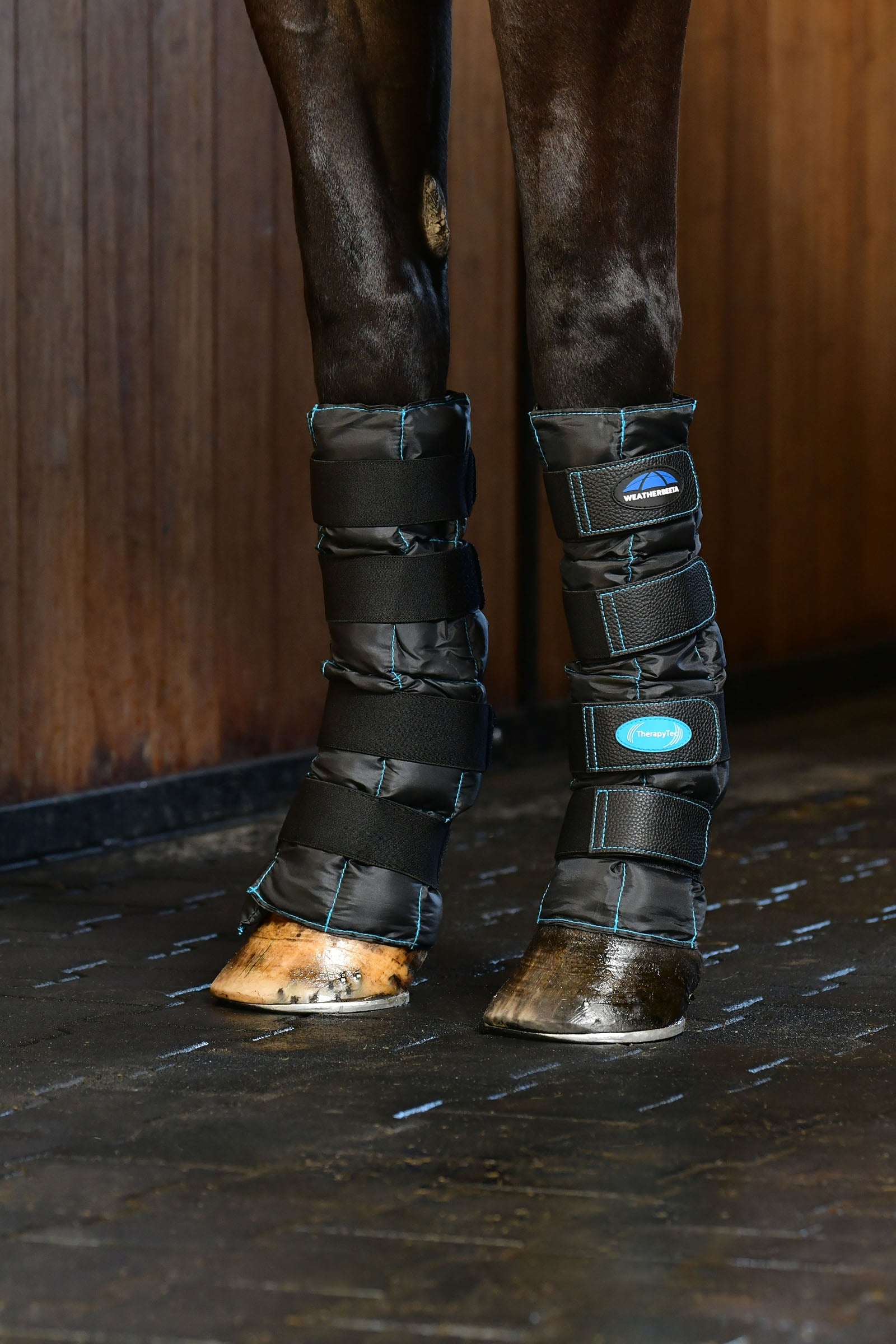 Weatherbeeta Therapy-Tec Ii Gel Ice Boots Leg & Hoof Protection