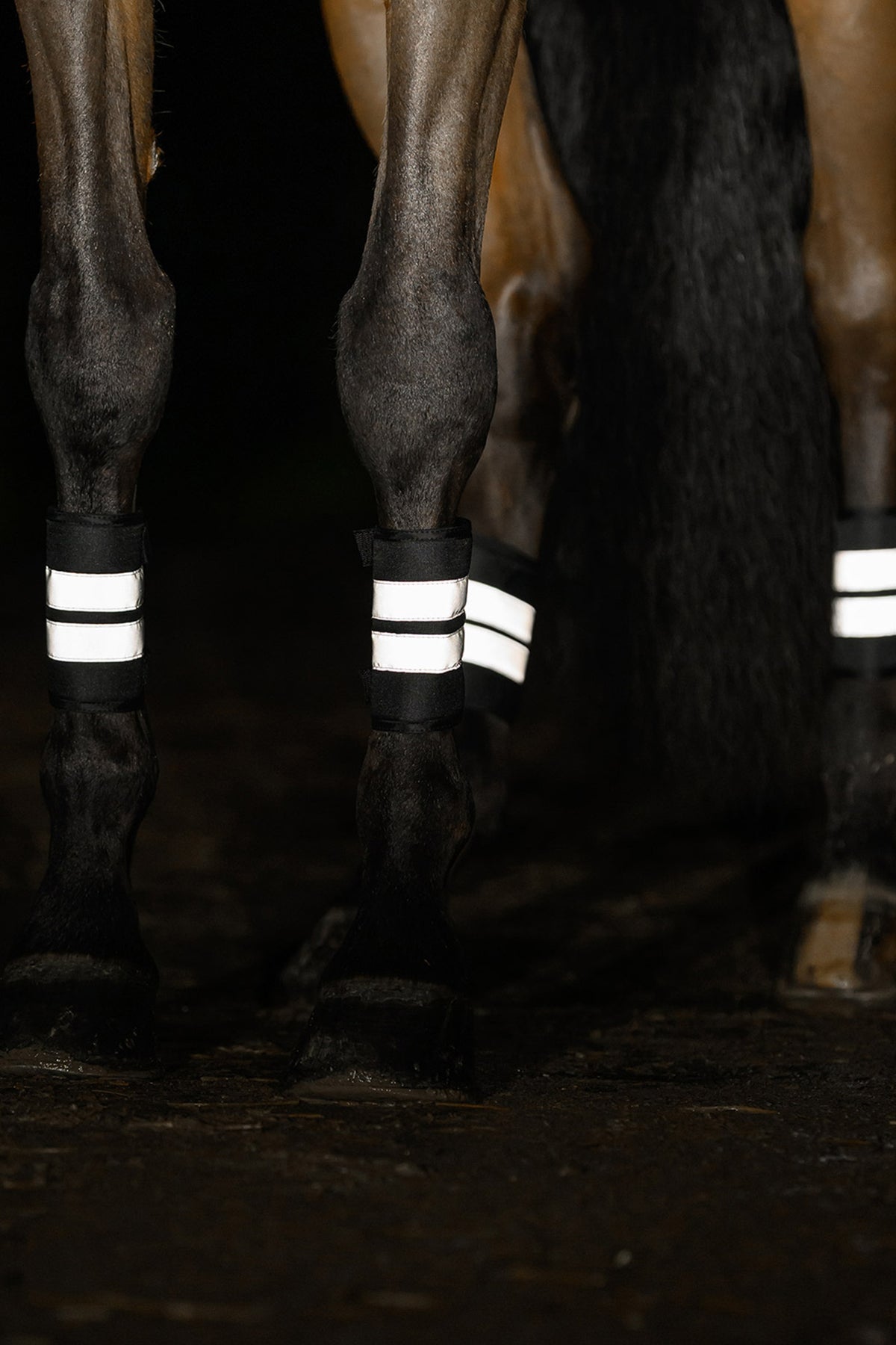 Waldhausen REFLEX Bandages Set Reflective